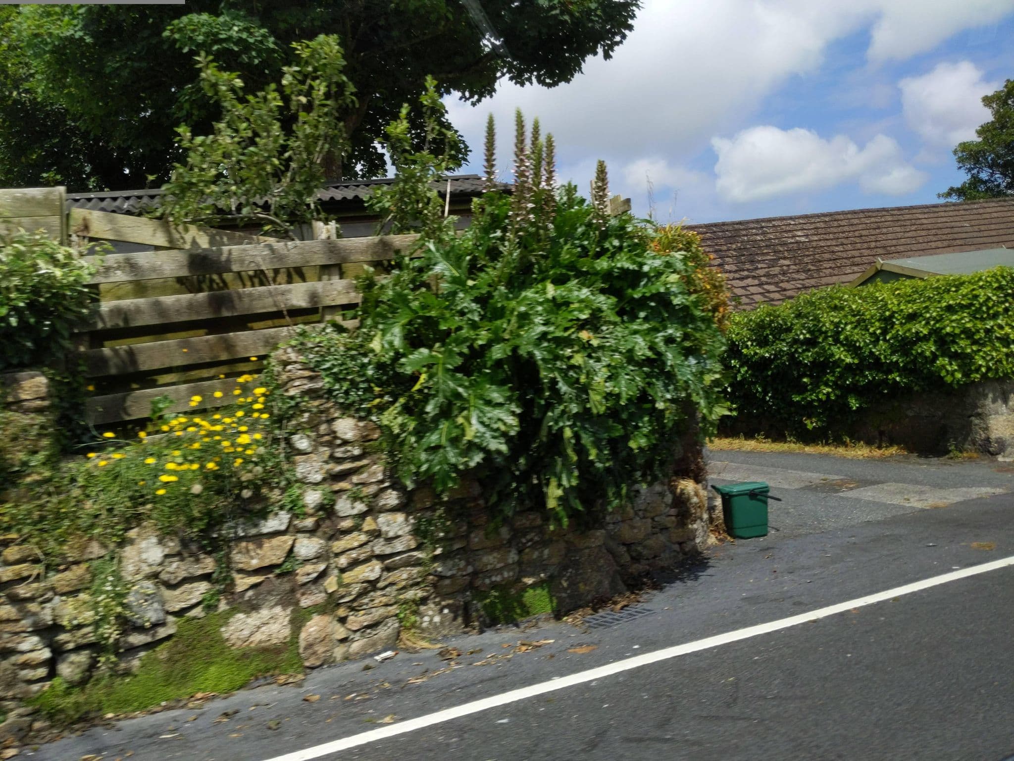 Street view near The Dry, Penzance — © WaggyDog (CC BY-SA · Mapillary)