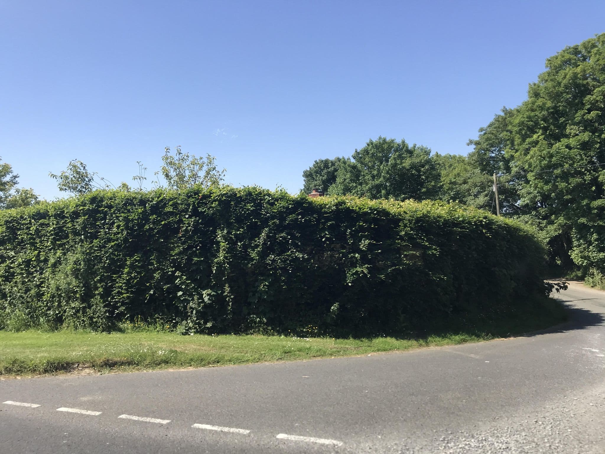 Street view near South Tregleath Farm, Bodmin — © miguel_andrade (CC BY-SA · Mapillary)