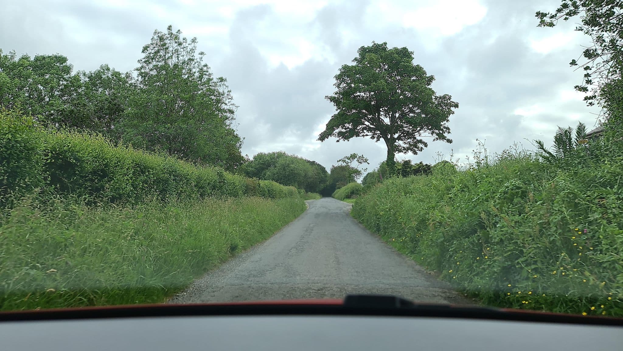 Street view near Lanhydrock Hotel and Golf Club, Bodmin — © alexanderar (CC BY-SA · Mapillary)