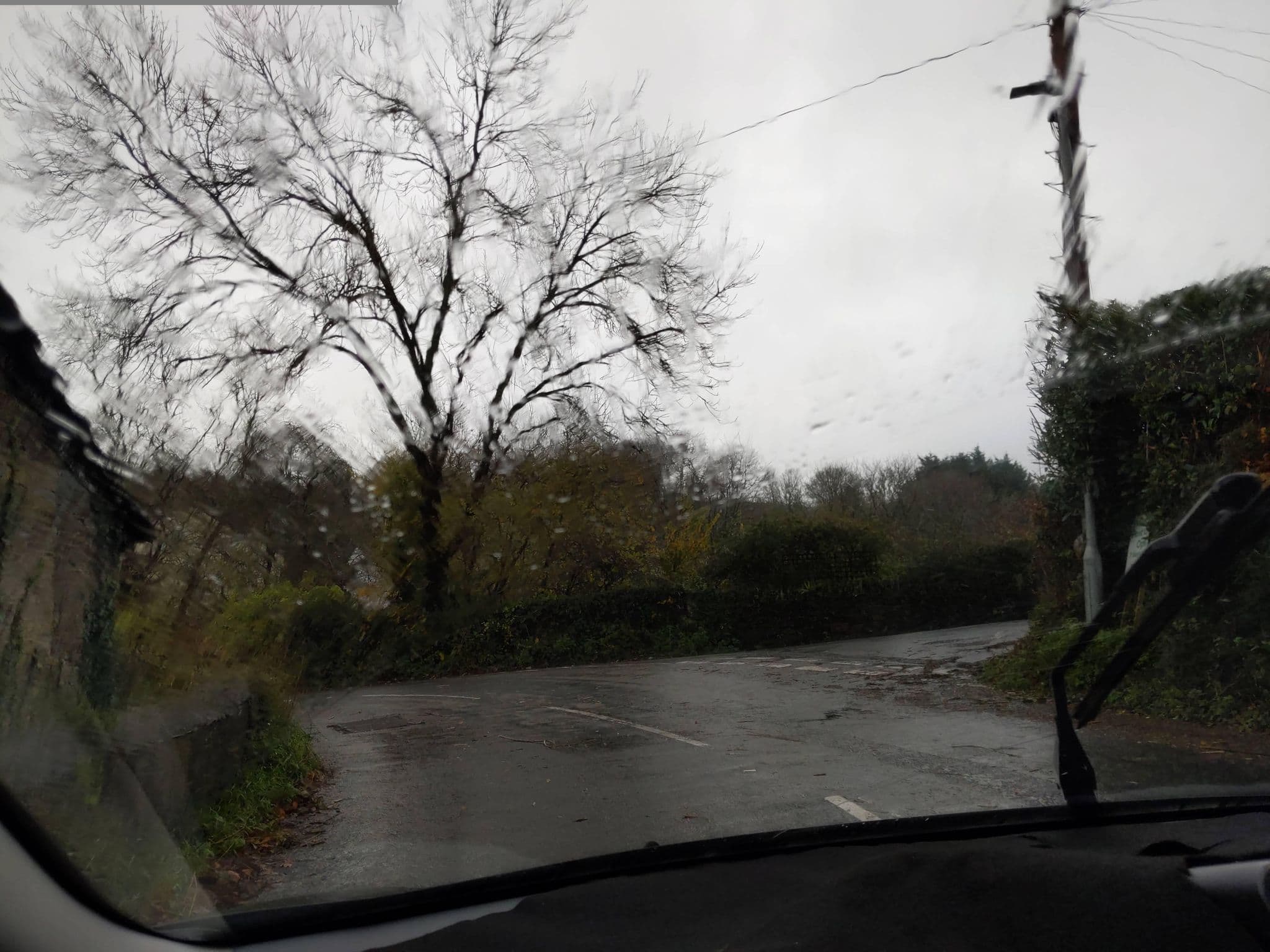 Street view near The Old Mill House, Landrake — © WaggyDog (CC BY-SA · Mapillary)