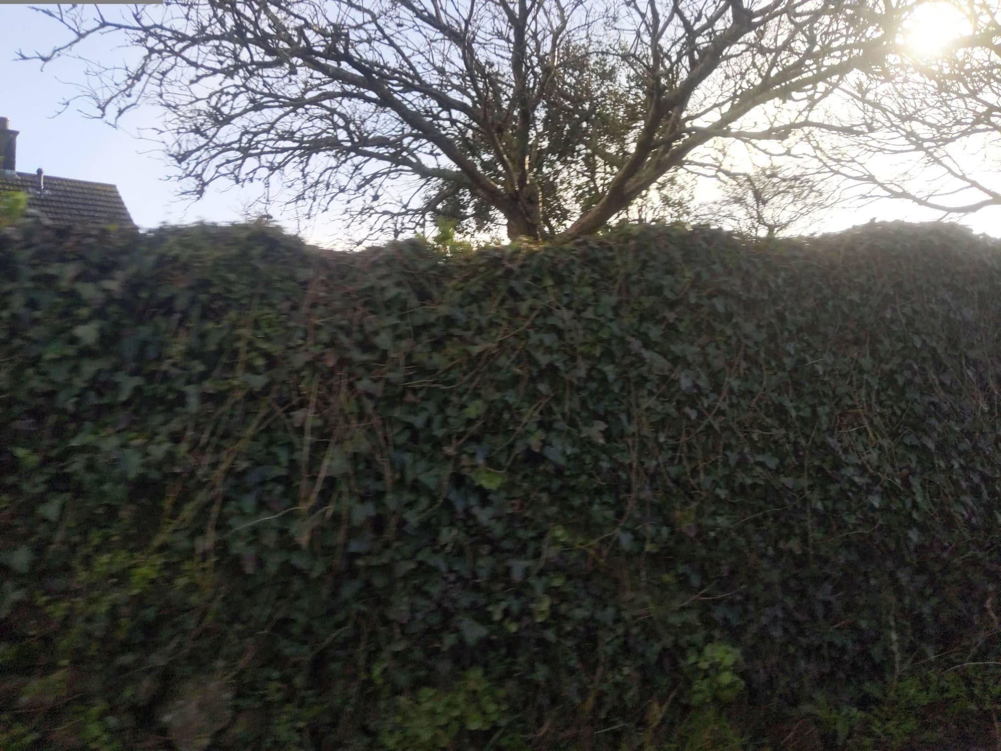 Street view near The Old Vicarage, Salcombe — © WaggyDog (CC BY-SA · Mapillary)