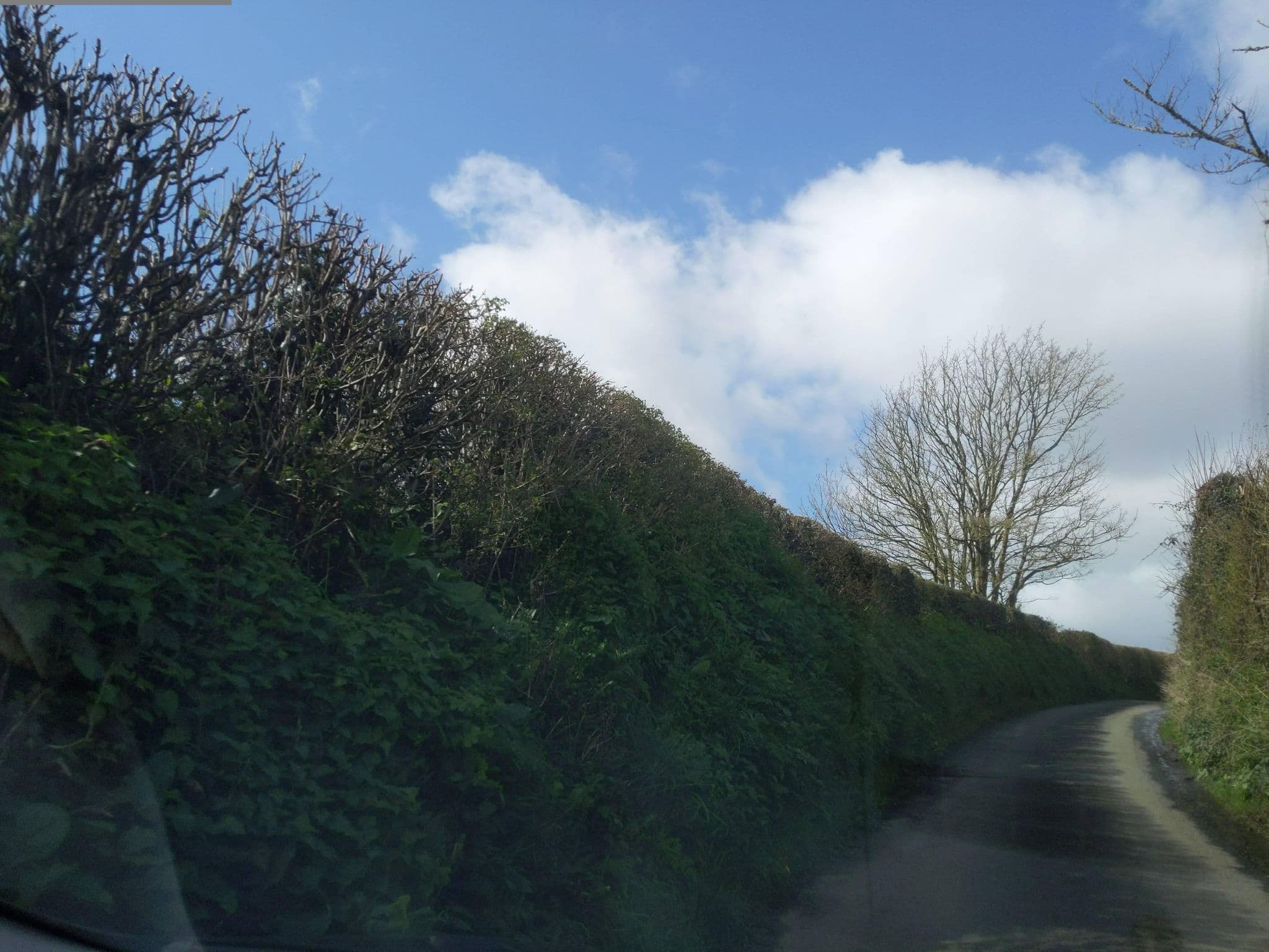 Street view near Howard Farm Cottages, Bude — © WaggyDog (CC BY-SA · Mapillary)