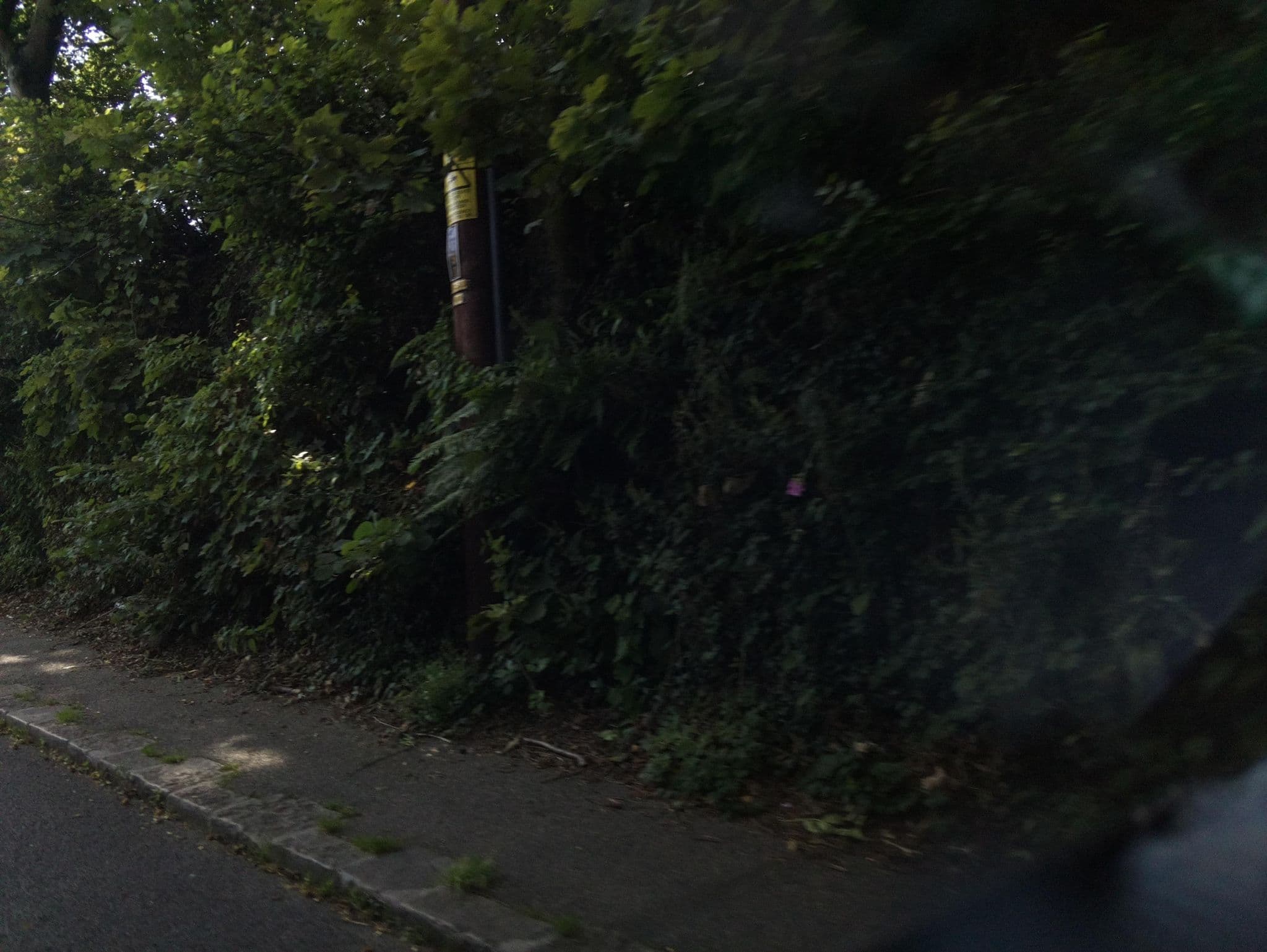 Street view near Sandhill House Country House Retreat, Gunnislake — © southglos (CC BY-SA · Mapillary)