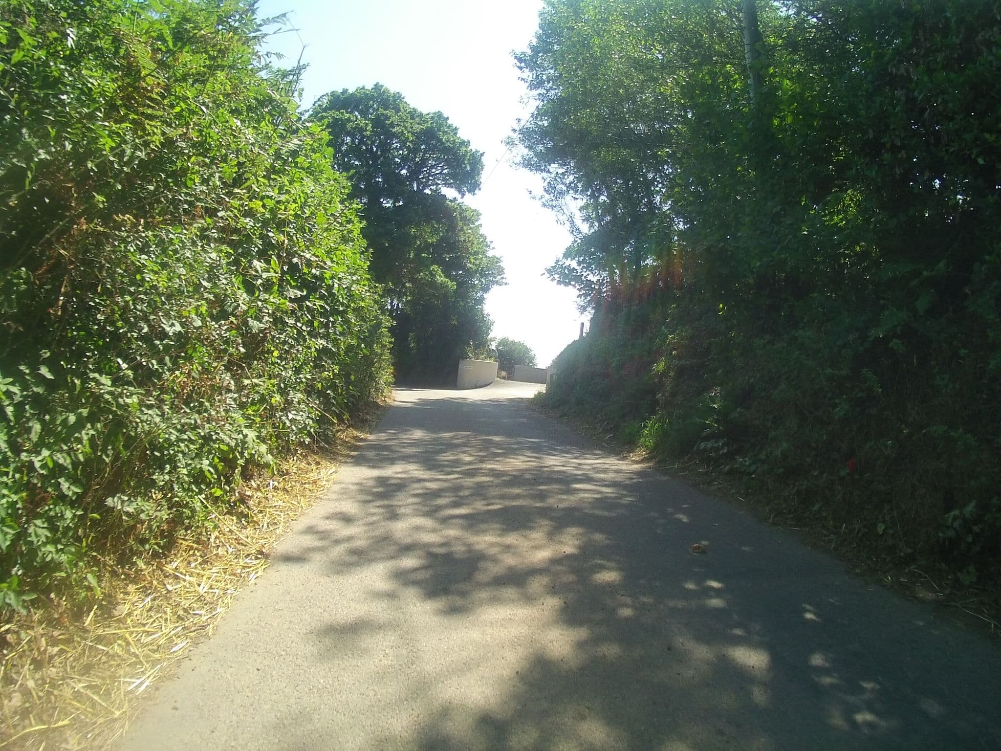 Street view near Higher Tideford, Stoke Gabriel — © keithonearth (CC BY-SA · Mapillary)