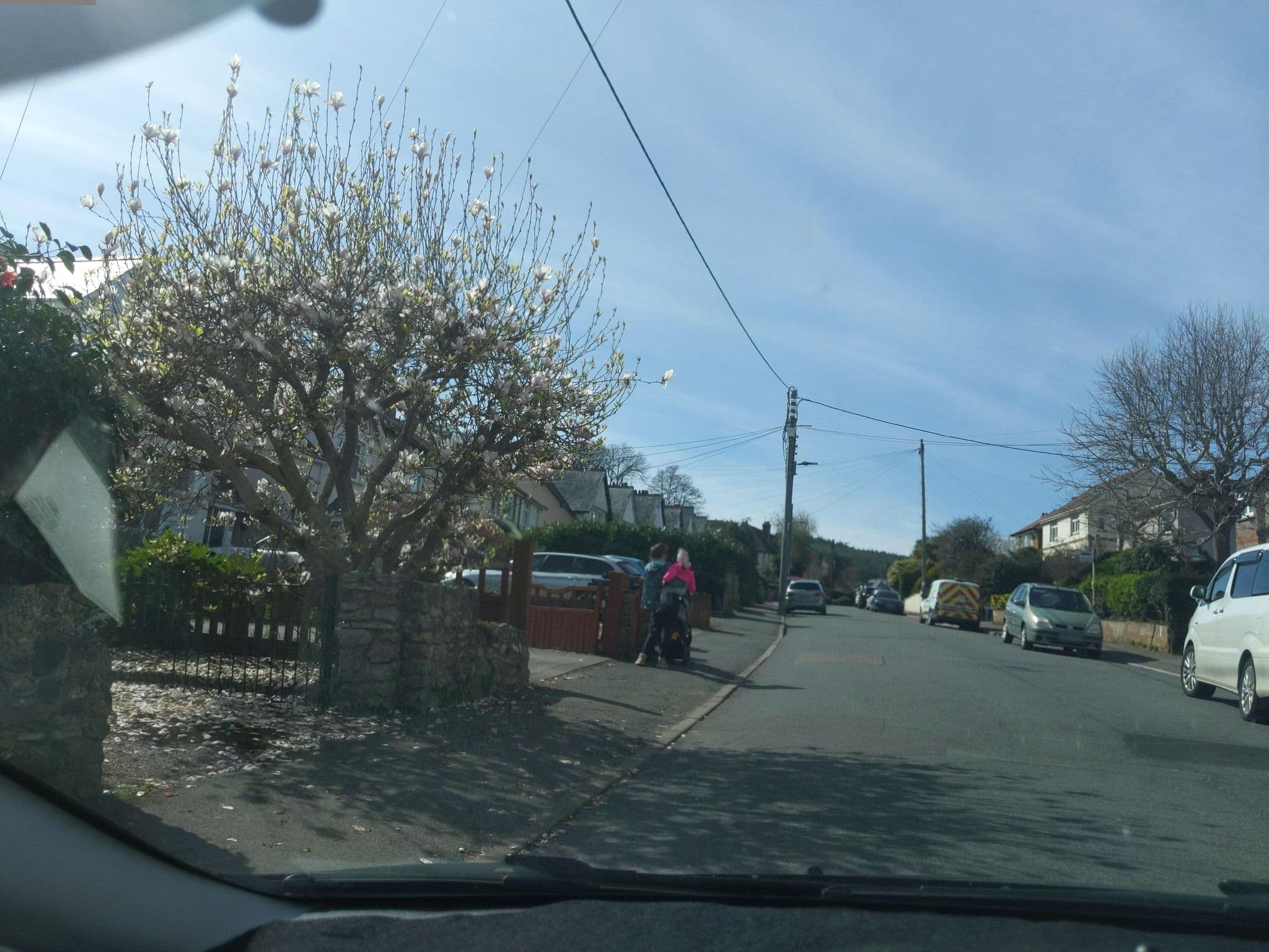 Street view near Ryton Guest House, Sidmouth — © WaggyDog (CC BY-SA · Mapillary)