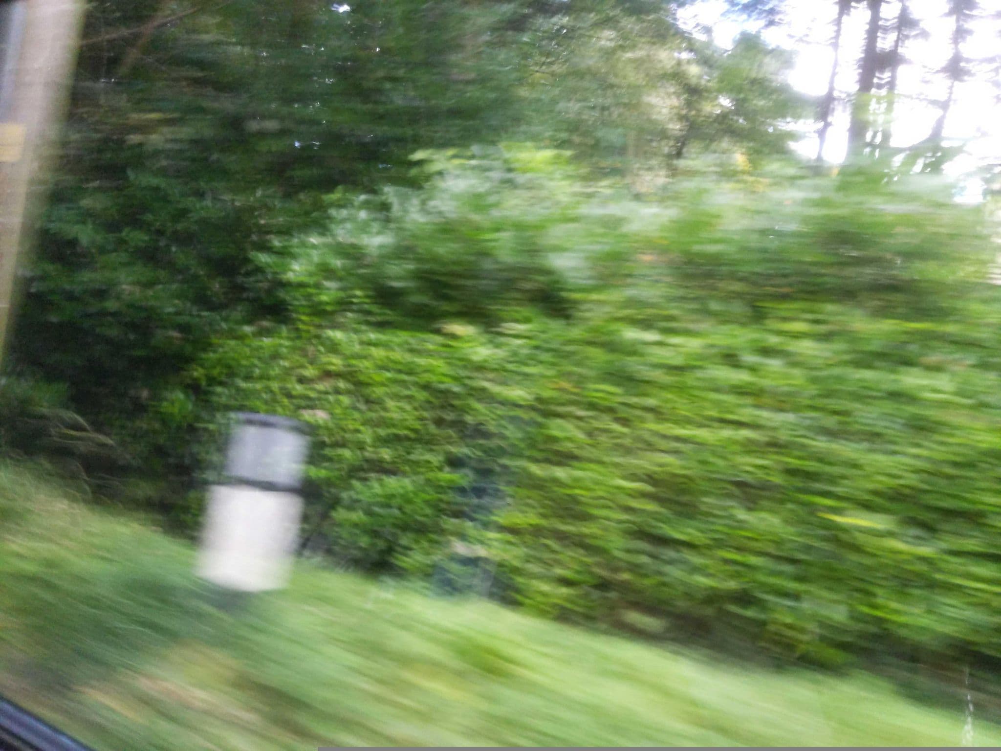 Street view near Hedgehog Corner Bed and Breakfast, Axminster — © WaggyDog (CC BY-SA · Mapillary)