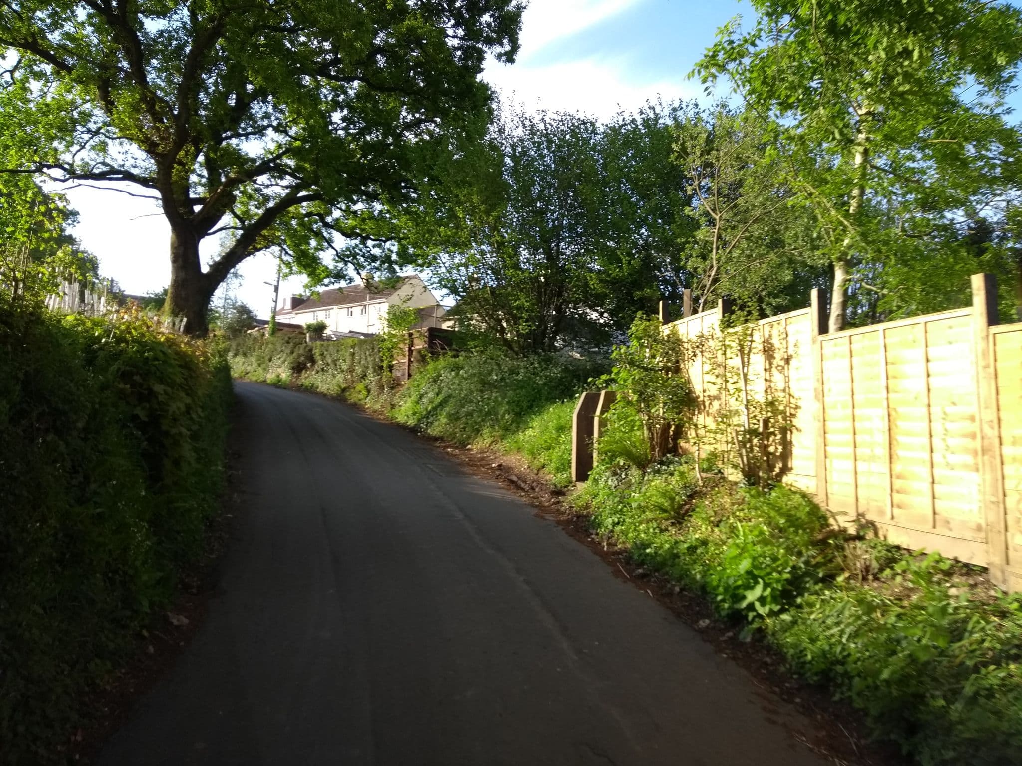 Street view near Devon's Duck n Dane B&B, Axminster — © ukchris (CC BY-SA · Mapillary)