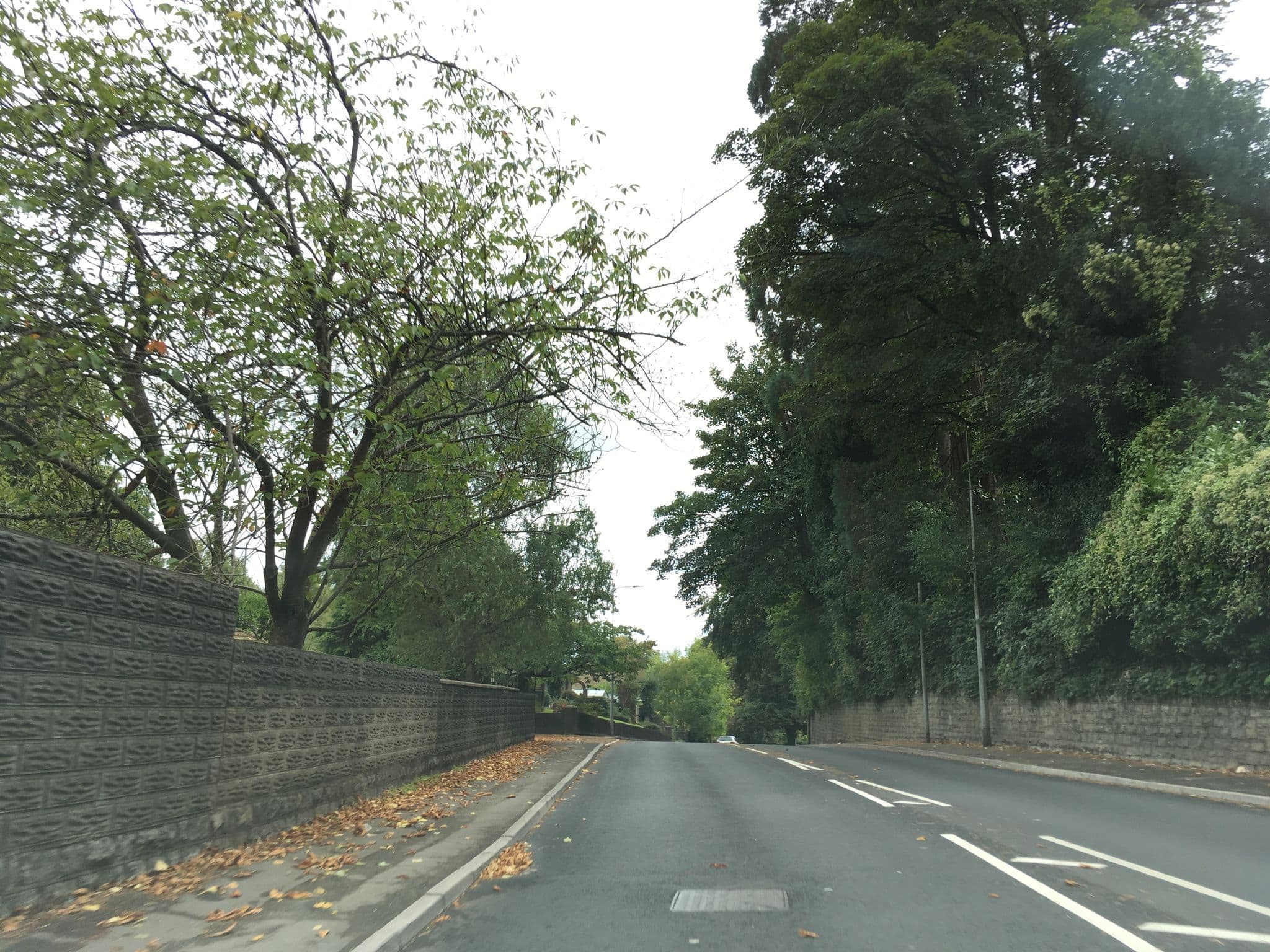 Street view near T Y Mynydd Lodge, Radyr — © southglos (CC BY-SA · Mapillary)