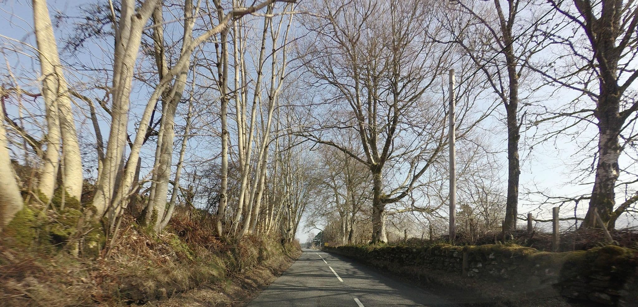 Street view near Morenish Mews, Comrie — © hobgoblin (CC BY-SA · Mapillary)