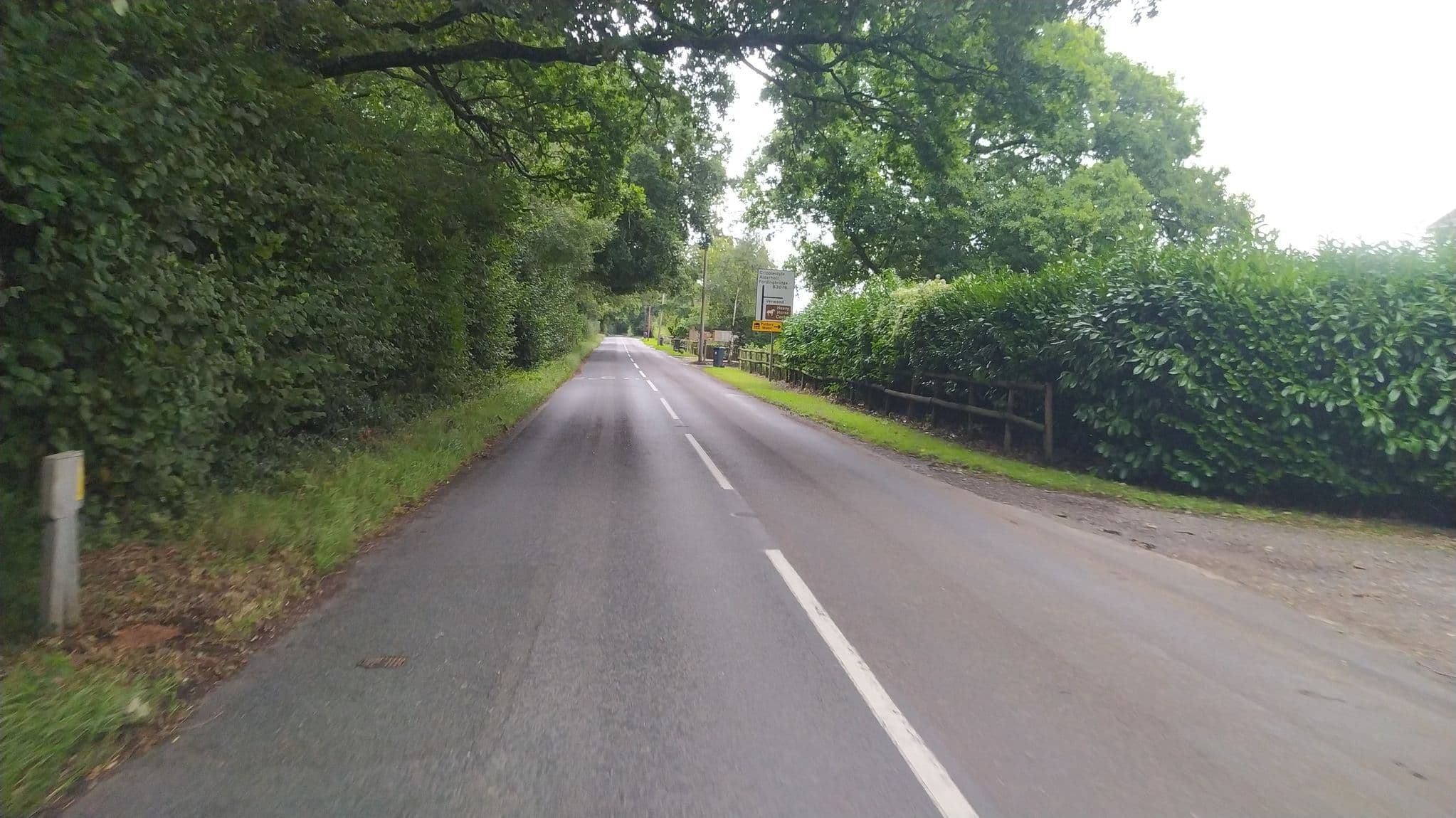 Street view near New Forest Lodges, Alderholt — © noid (CC BY-SA · Mapillary)