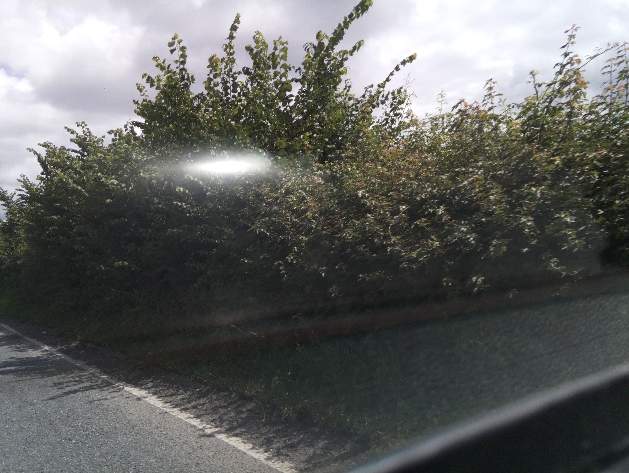 Street view near Roses Farm, Castle Cary — © southglos (CC BY-SA · Mapillary)