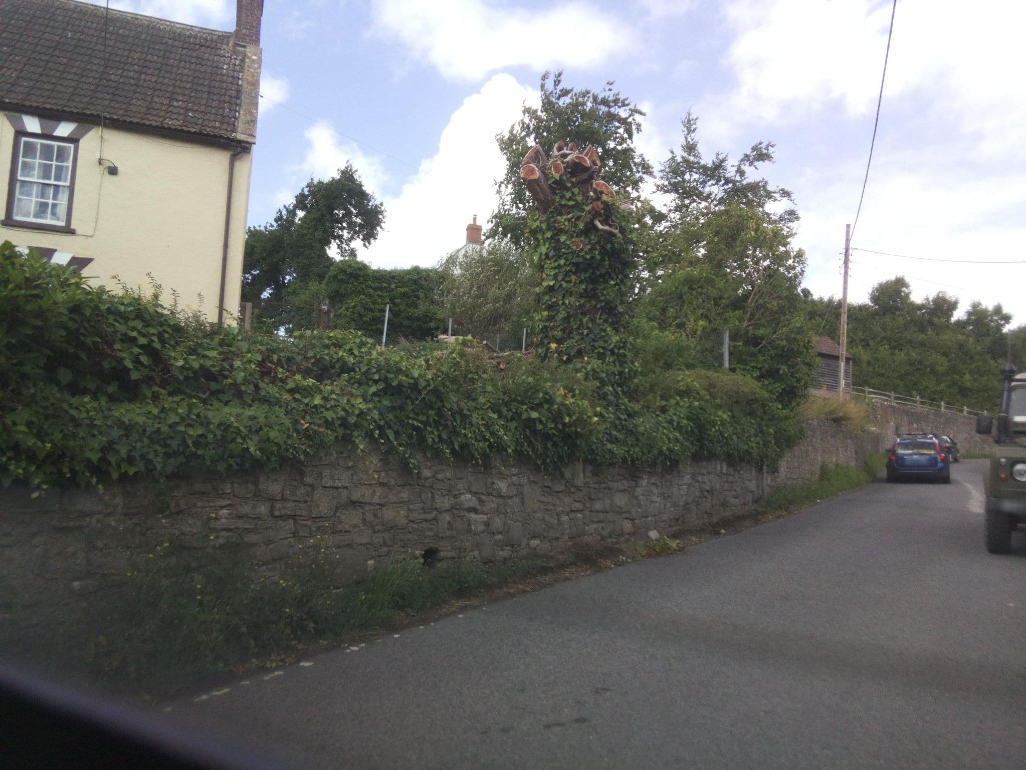 Street view near Garden End Farm, Wedmore — © southglos (CC BY-SA · Mapillary)