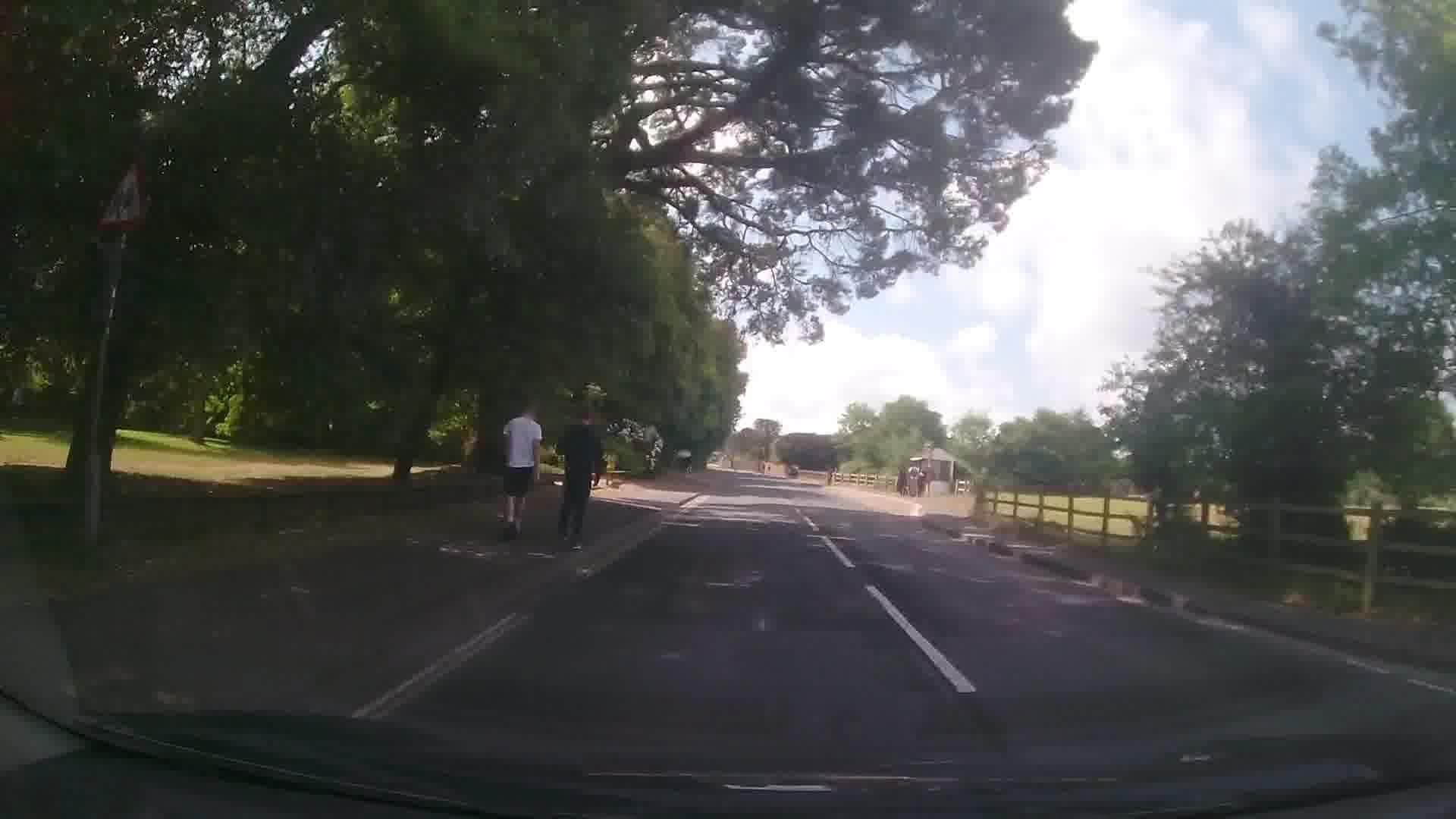 Street view near Senspa, Brockenhurst — © trigpoint (CC BY-SA · Mapillary)