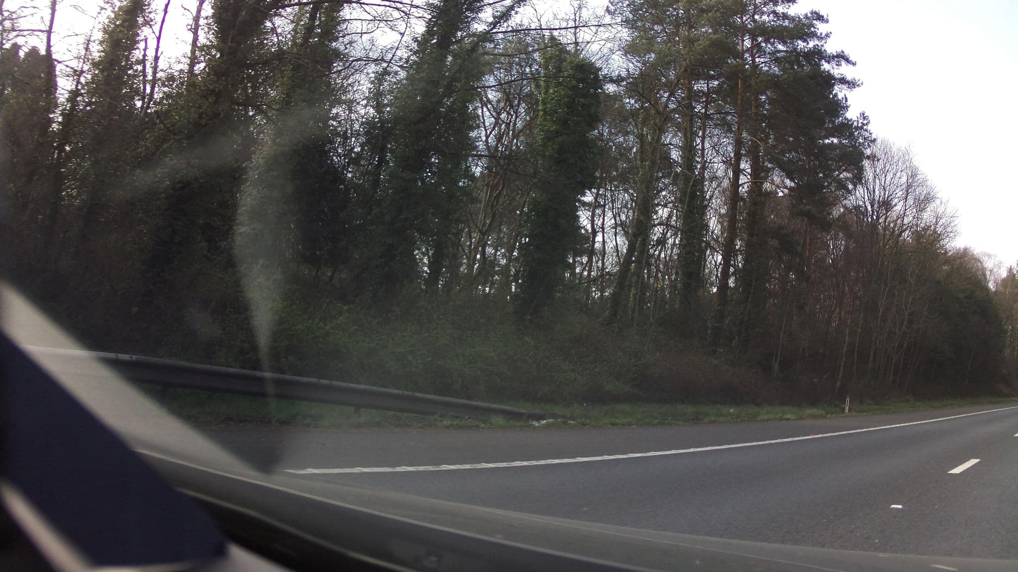 Street view near Copythorne Lodge, Cadnam — © southglos (CC BY-SA · Mapillary)