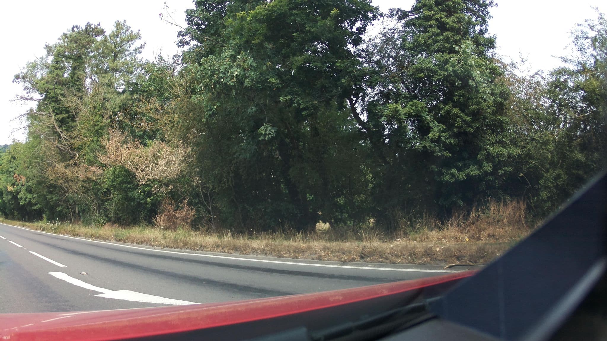 Street view near Whitelands, Reigate — © southglos (CC BY-SA · Mapillary)