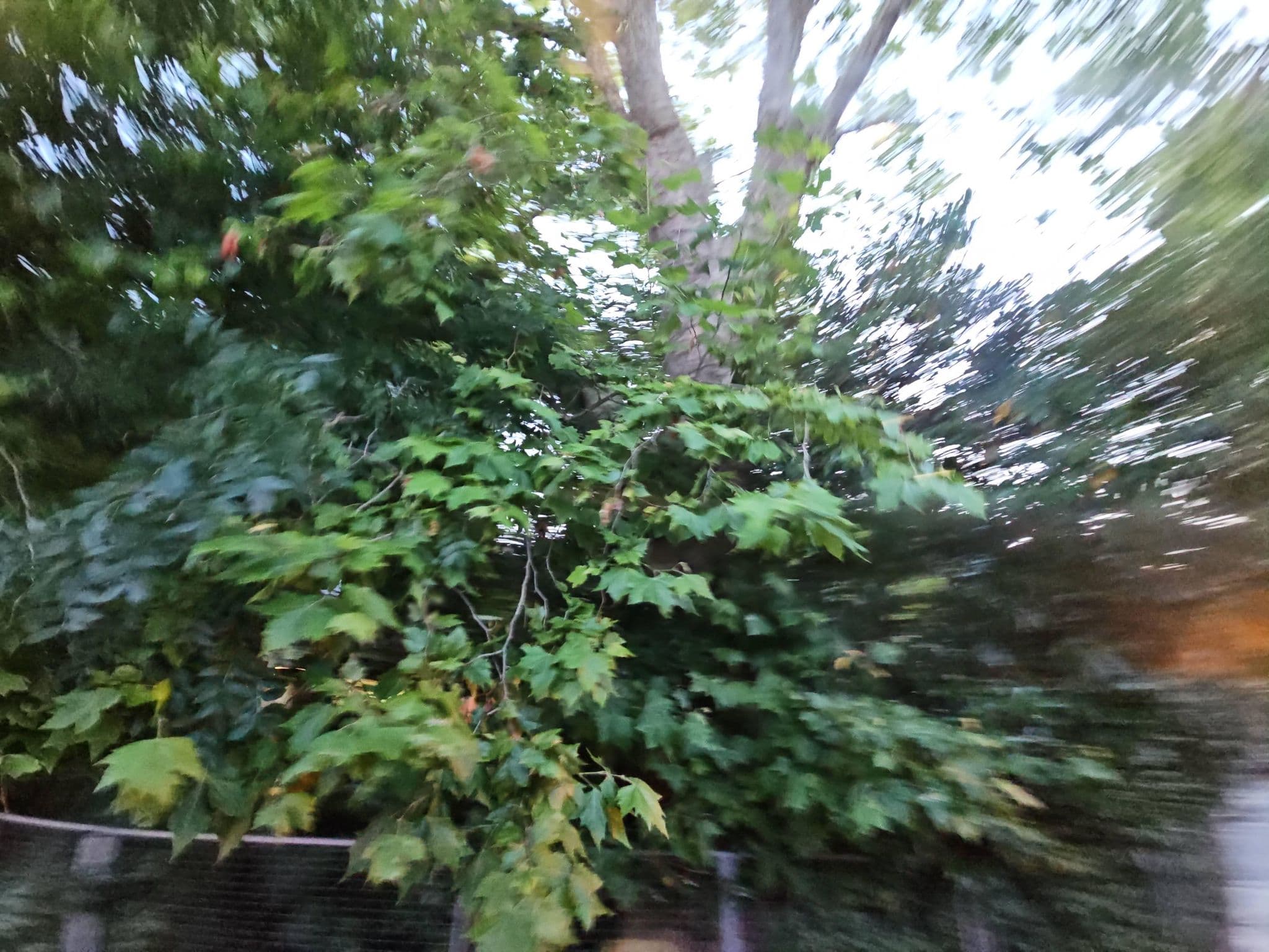 Street view near Newington Court (Stoke Newington), Highbury — © pbb (CC BY-SA · Mapillary)