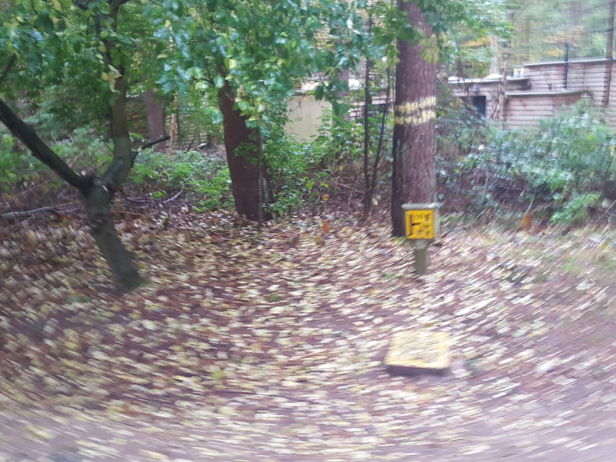 Street view near Pine Villa 313, Lakenheath — © edloach (CC BY-SA · Mapillary)