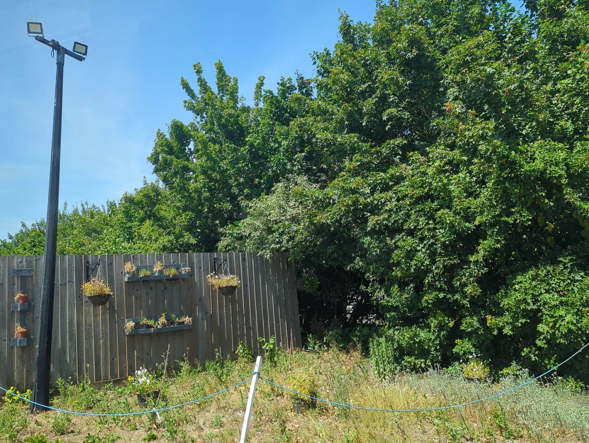 Street view near Premier Inn Ipswich hotel, Bramford — © IpswichEdits (CC BY-SA · Mapillary)