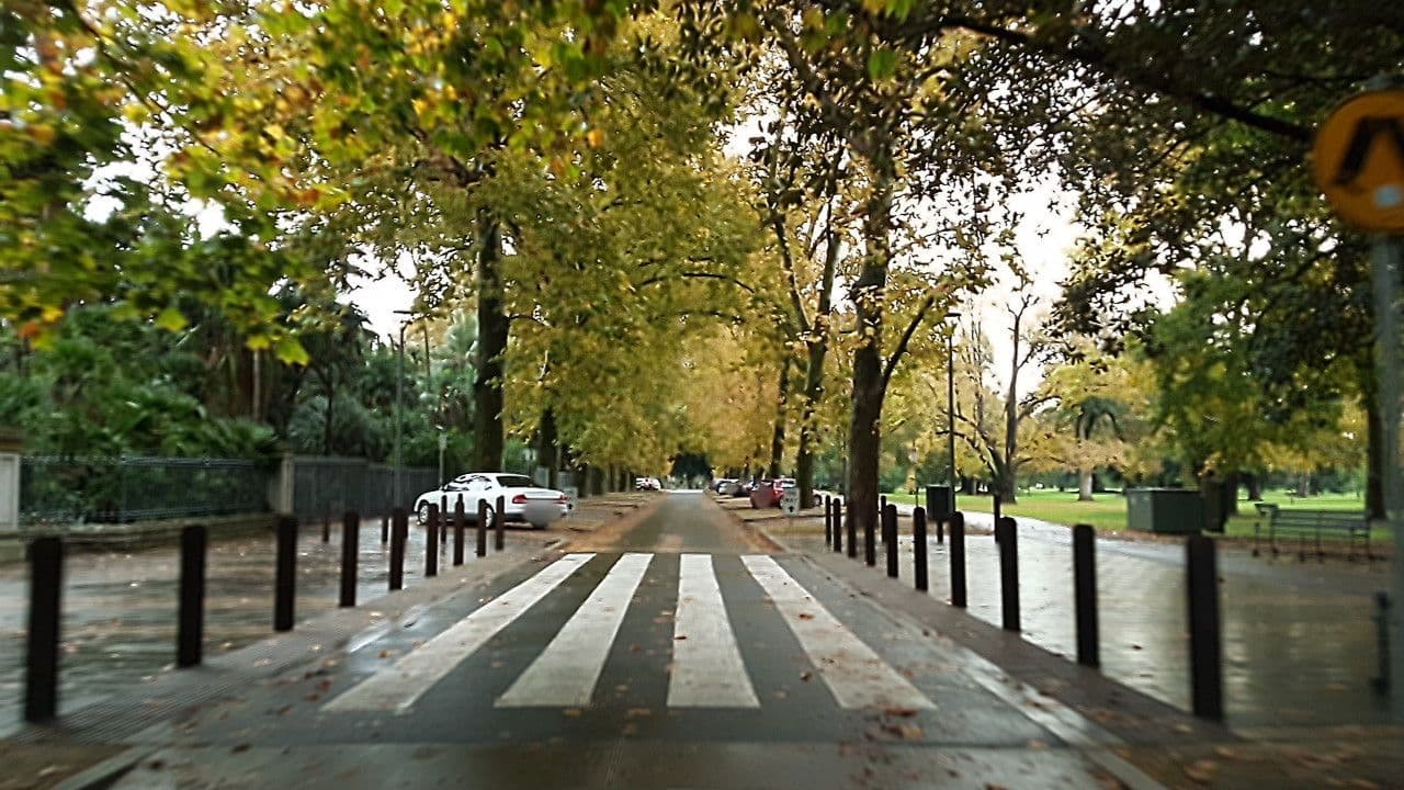 Street view near North Lodge, Kent Town — © didz (CC BY-SA · Mapillary)