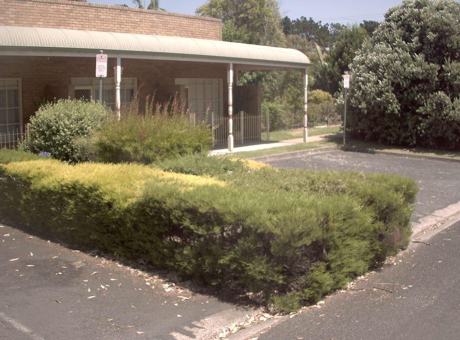 Street view near Tarwin River Motel, Inverloch — © vicroads (CC BY-SA · Mapillary)