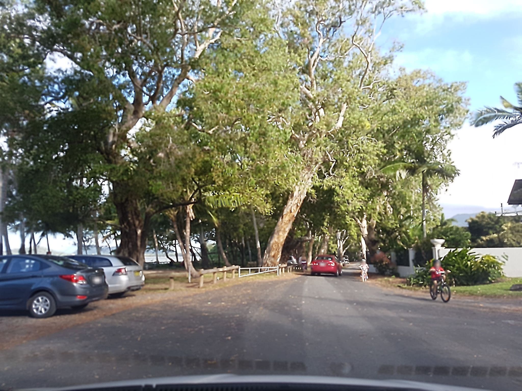 Street view near Villa Beach Palm Cove, Clifton Beach — © stev391 (CC BY-SA · Mapillary)