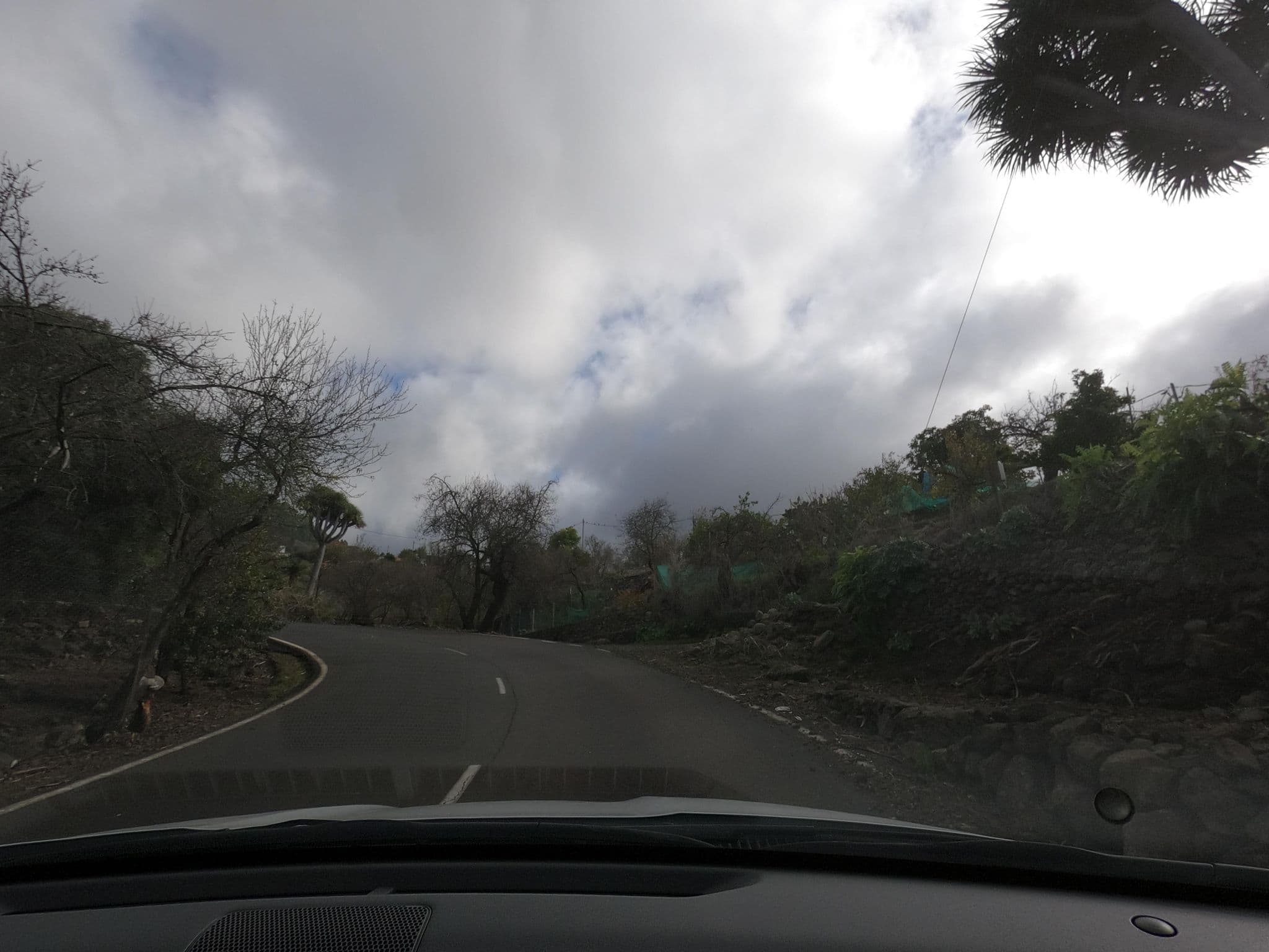 Street view near El Vuelo del Halcon, Puntagorda — © mcliquid (CC BY-SA · Mapillary)