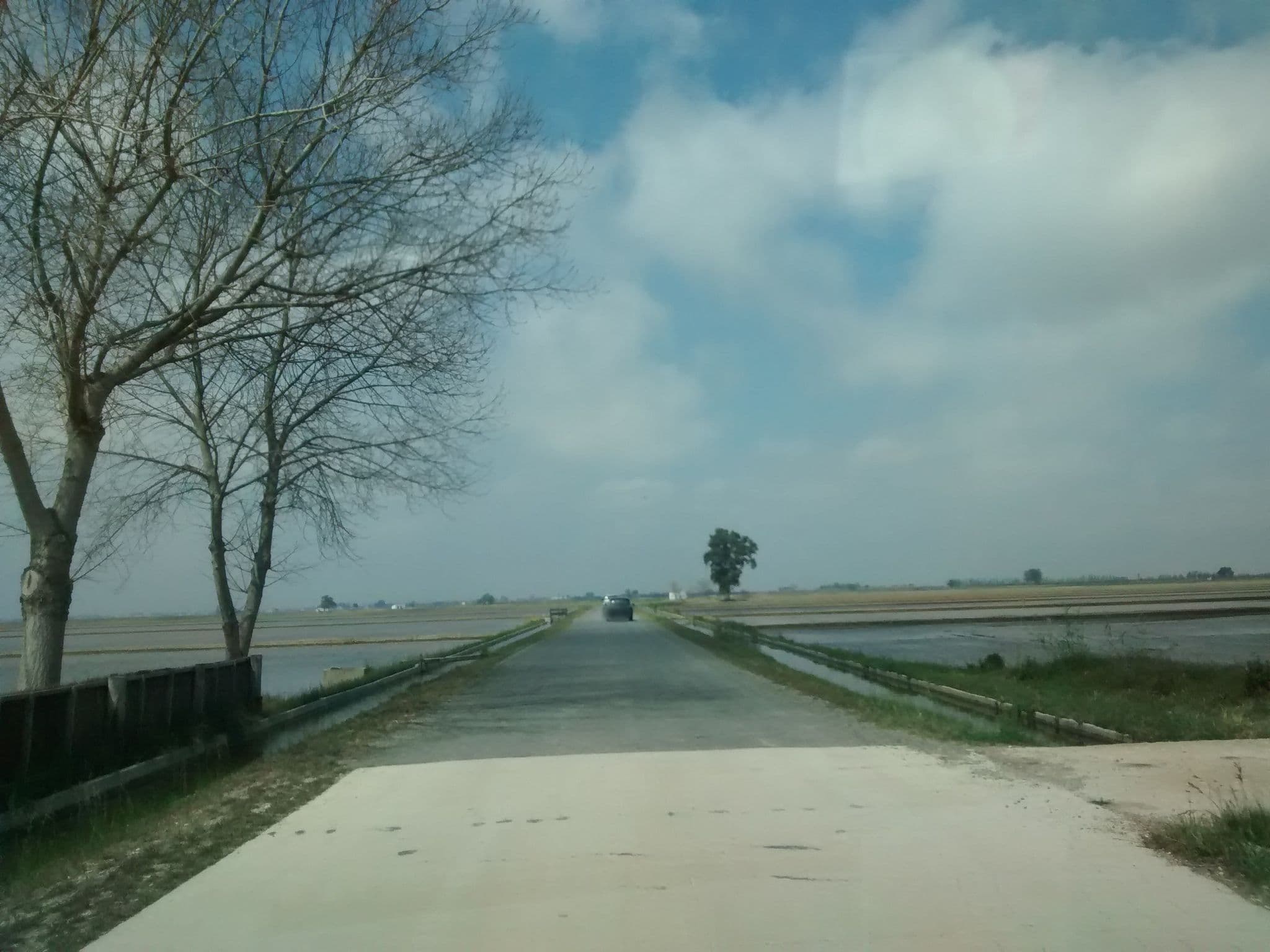 Street view near Casa Cusa, Deltebre — © msevilla00 (CC BY-SA · Mapillary)