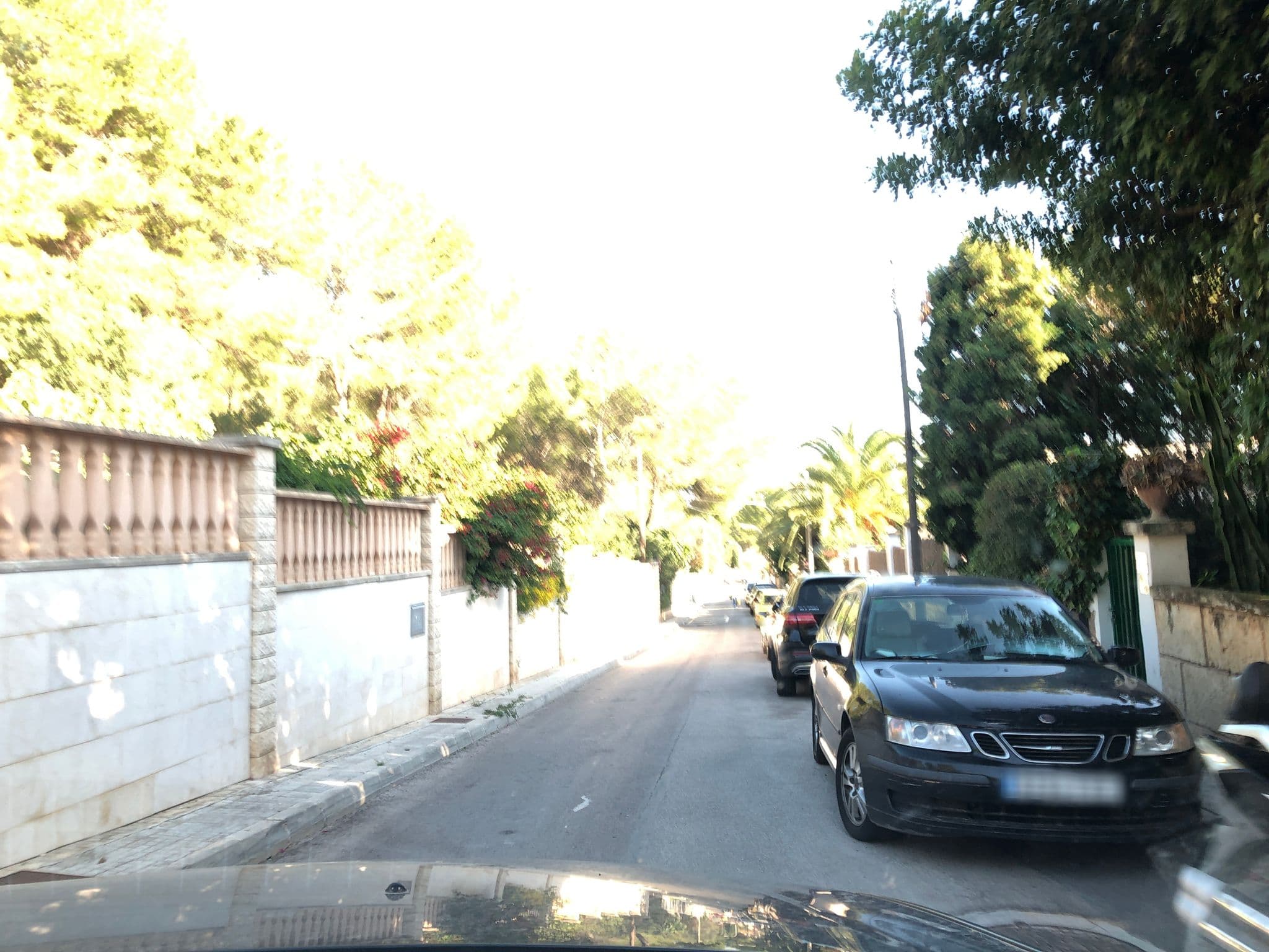 Street view near Apartamentos Atalaya Bosque, Peguera — © schwartauch (CC BY-SA · Mapillary)