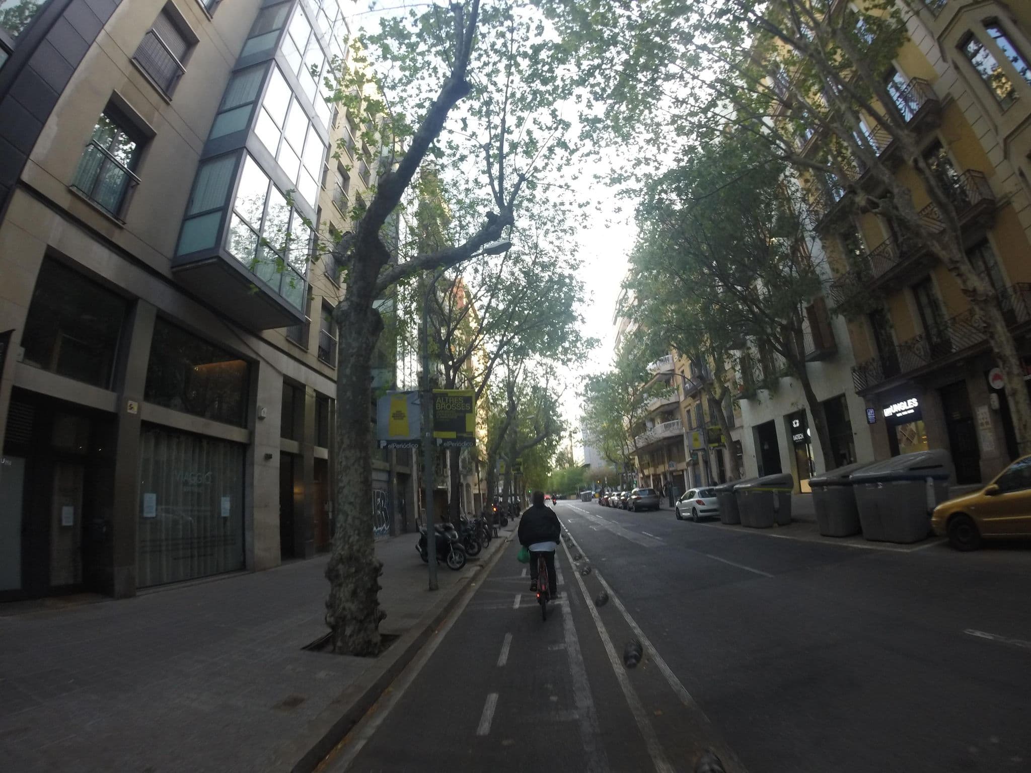 Street view near Cru 2001, Barcelona — © morrocoyvolador (CC BY-SA · Mapillary)
