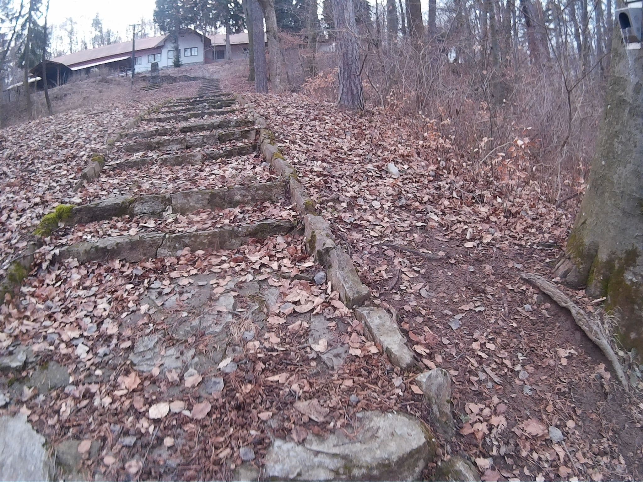 Street view near Telekessy vendégház, Bélapátfalva — © heyjoe (CC BY-SA · Mapillary)