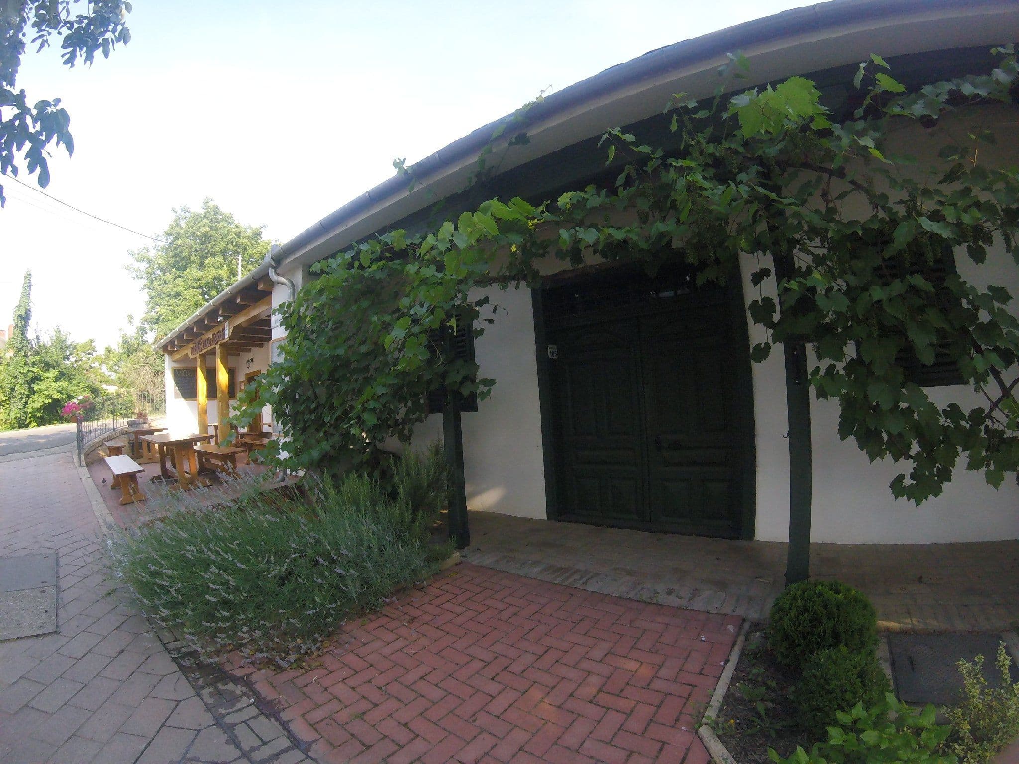 Street view near Blum Pince Borozó Vendégház Panzió, Villány — © utvonalfelmeresek (CC BY-SA · Mapillary)