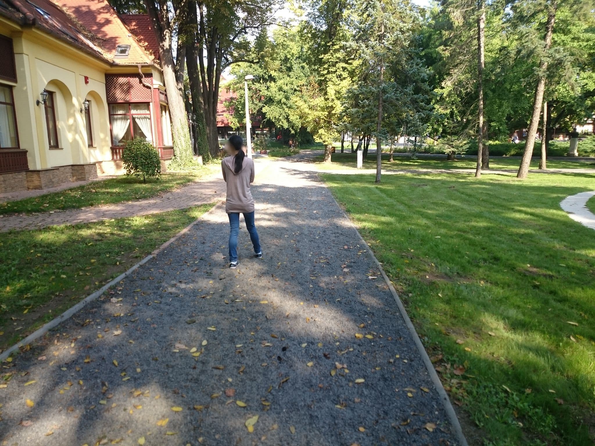 Street view near Villa Hotel, Debrecen — © crown (CC BY-SA · Mapillary)