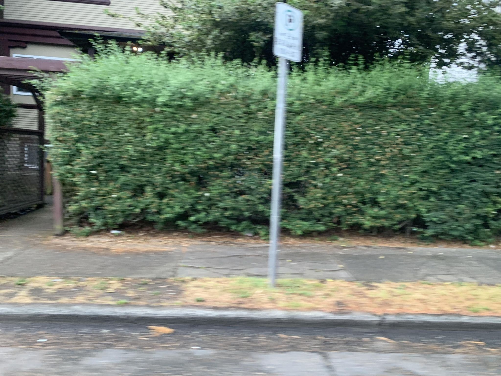 Street view near Hannah's House, Jubilee — © XanderVicMap (CC BY-SA · Mapillary)