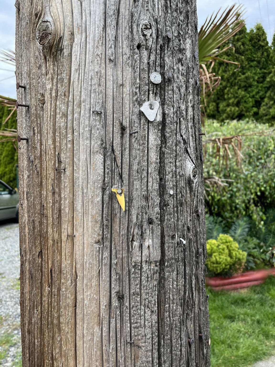 Street view near Clair's Bed & Breakfast Ladner Village, Ladner — © troyextropic (CC BY-SA · Mapillary)