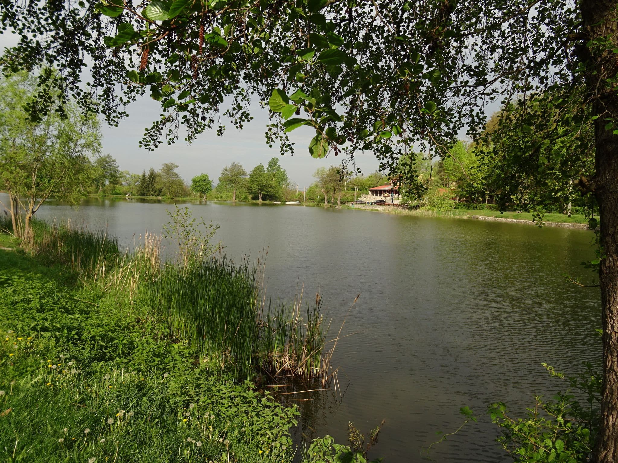 Street view near Fenyves vendégház, Bélapátfalva — © izsolt (CC BY-SA · Mapillary)