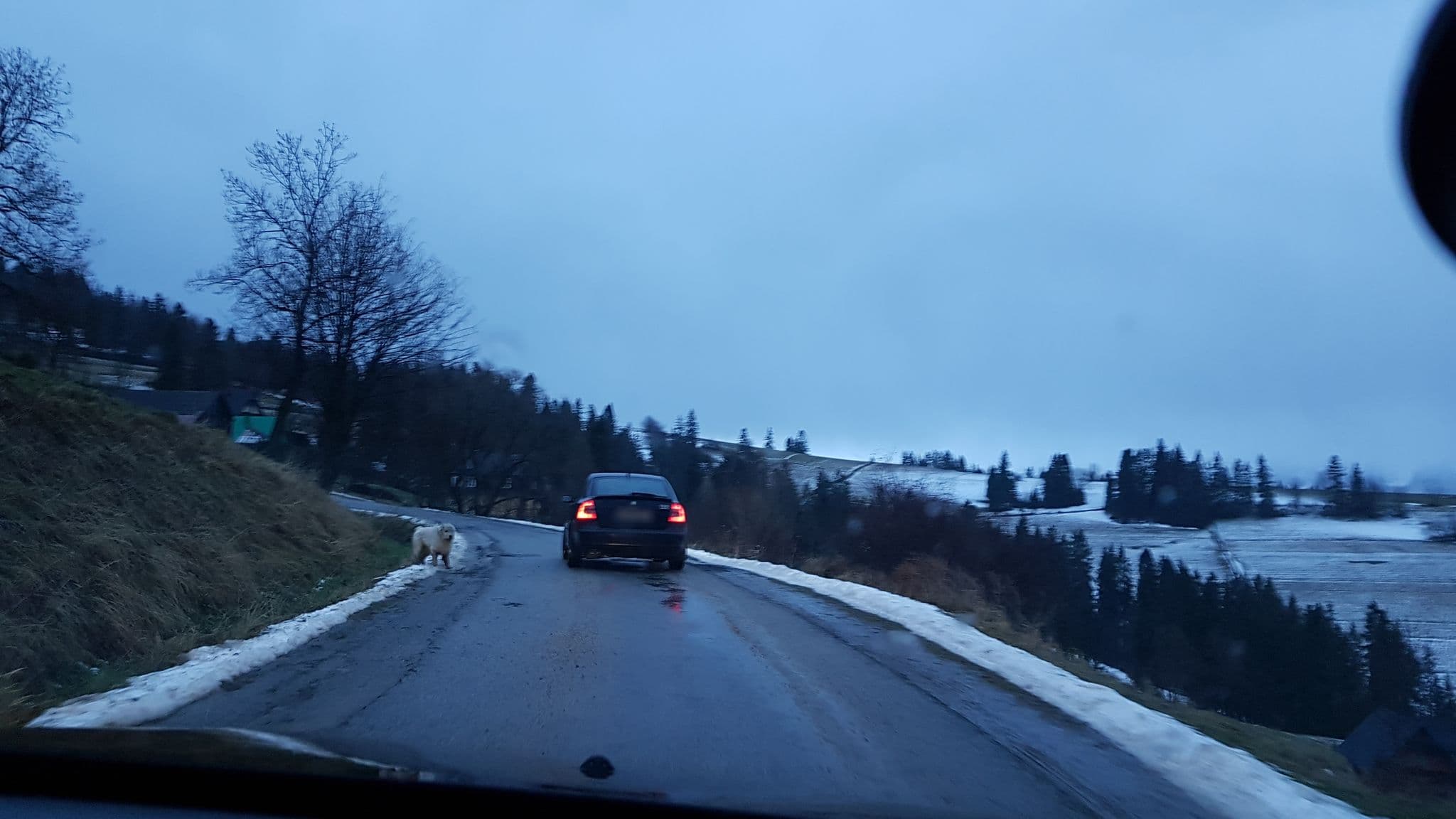 Street view near Domek Panorama Tatr, Czarna Góra — © jerome_pietri (CC BY-SA · Mapillary)