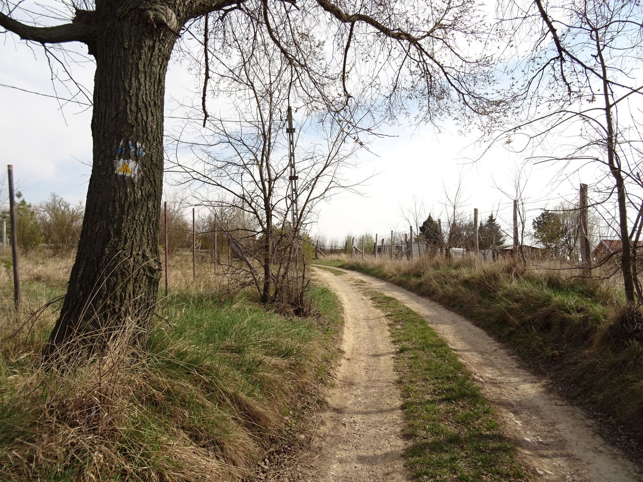 Street view near Lovasberényi Kis Levendulás SóHázikó, Lovasberény — © izsolt (CC BY-SA · Mapillary)