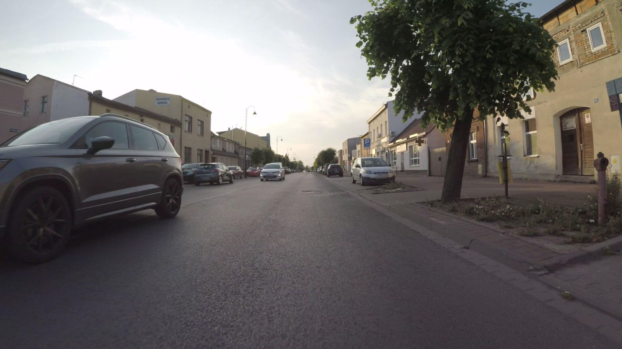 Street view near Dworek, Kórnik — © Fixtor (CC BY-SA · Mapillary)