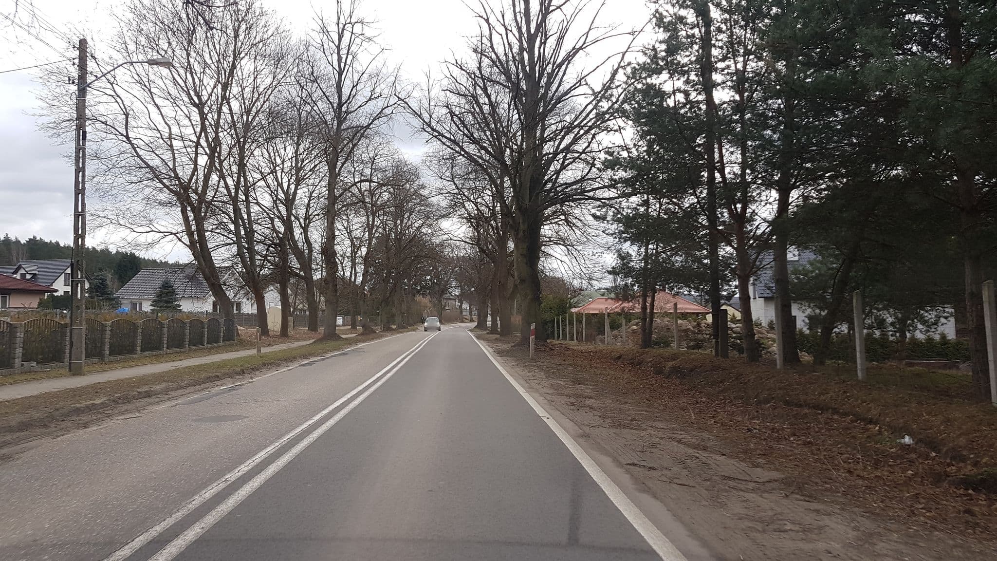 Street view near Saga. Zajazd, Gryfino — © masterofnoroad (CC BY-SA · Mapillary)