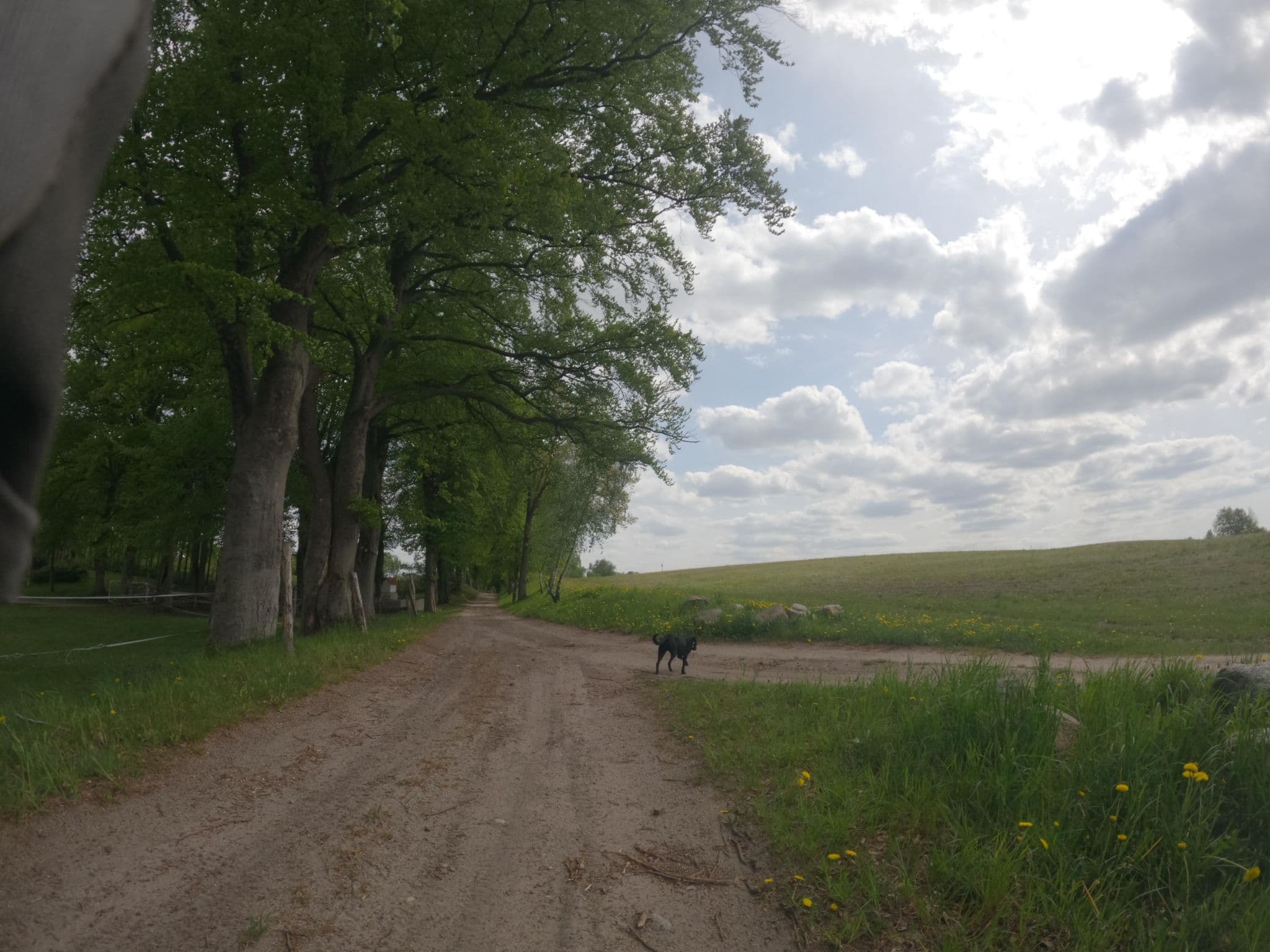 Street view near Józef Szatkowski Agroturystyka Gospodarstwo Tęcza, Drawsko Pomorskie — © masterofnoroad (CC BY-SA · Mapillary)