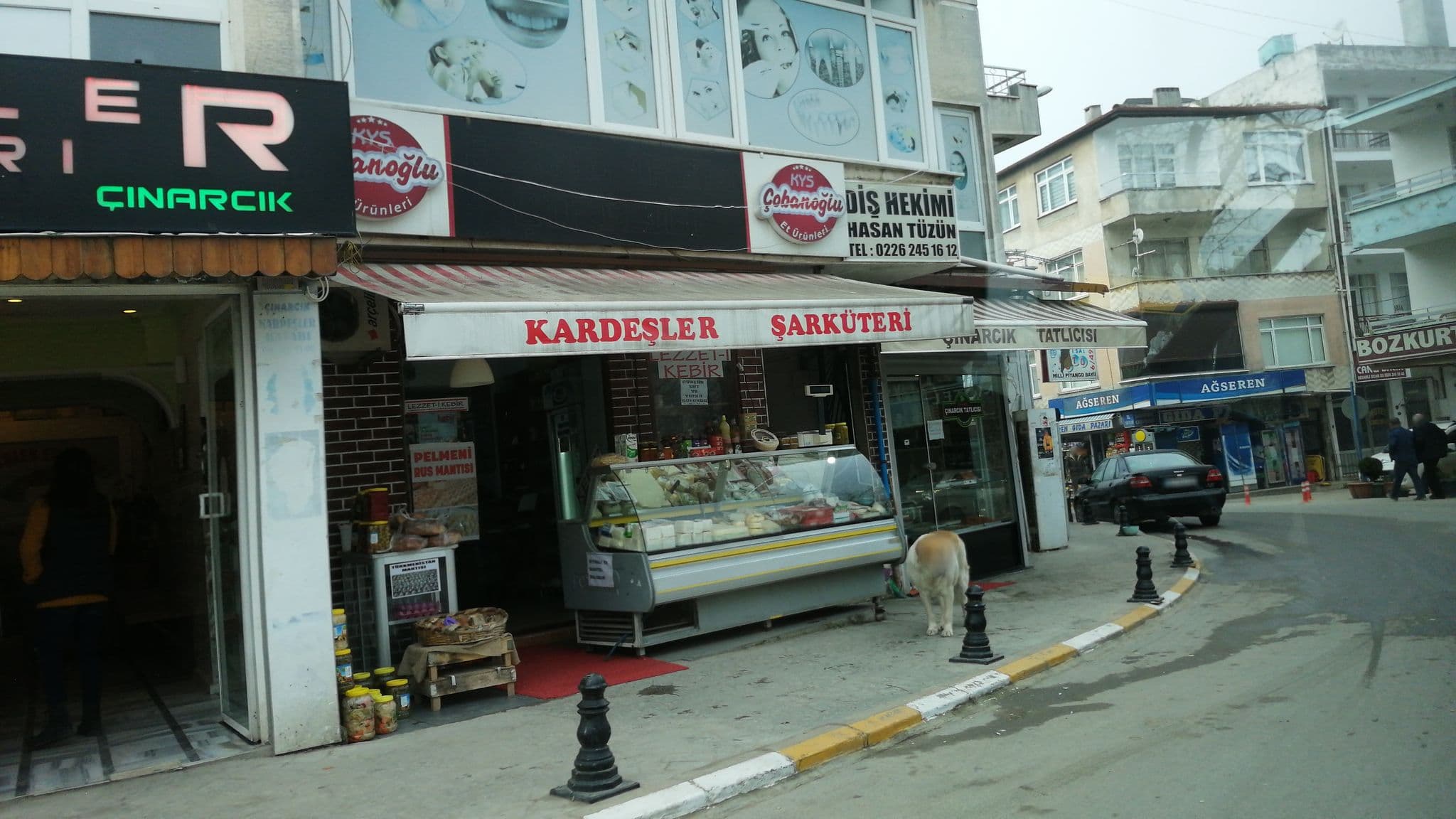 Street view near Lion Butique Hotel, Çınarcık — © bngsgln (CC BY-SA · Mapillary)