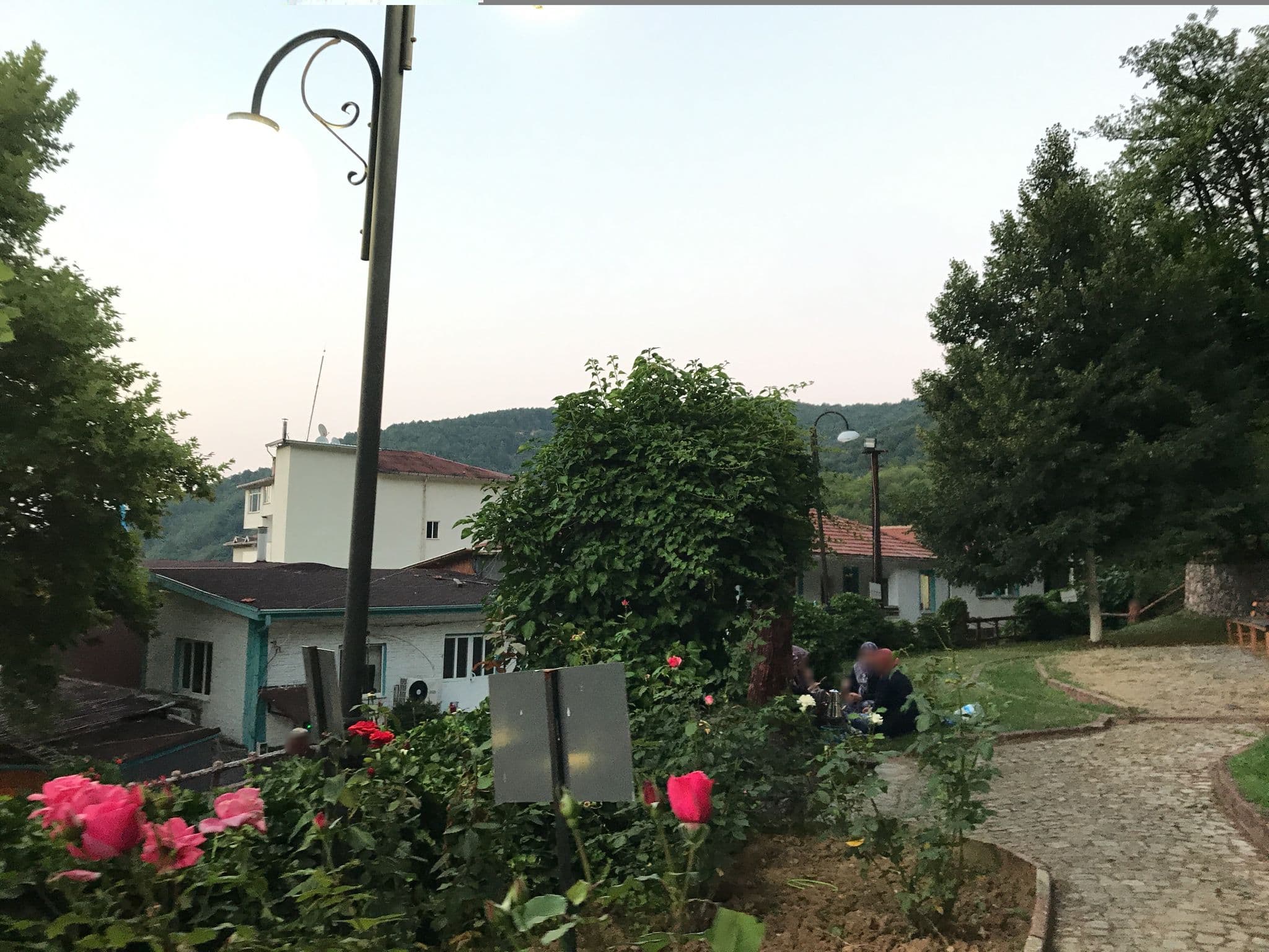 Street view near Çağlayan Resort, Domaniç — © azadezey (CC BY-SA · Mapillary)