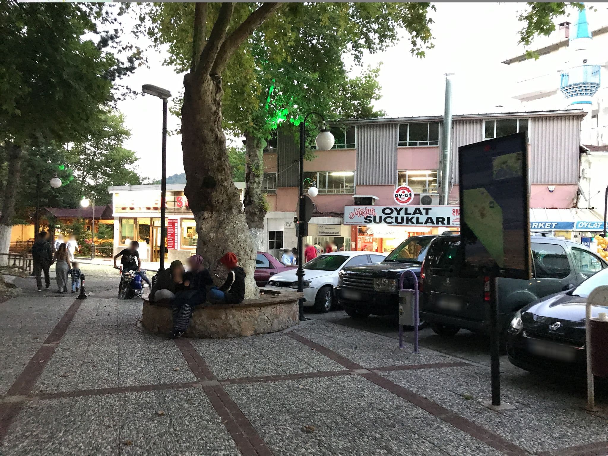 Street view near Çağlayan Havuz Masaj, Domaniç — © azadezey (CC BY-SA · Mapillary)