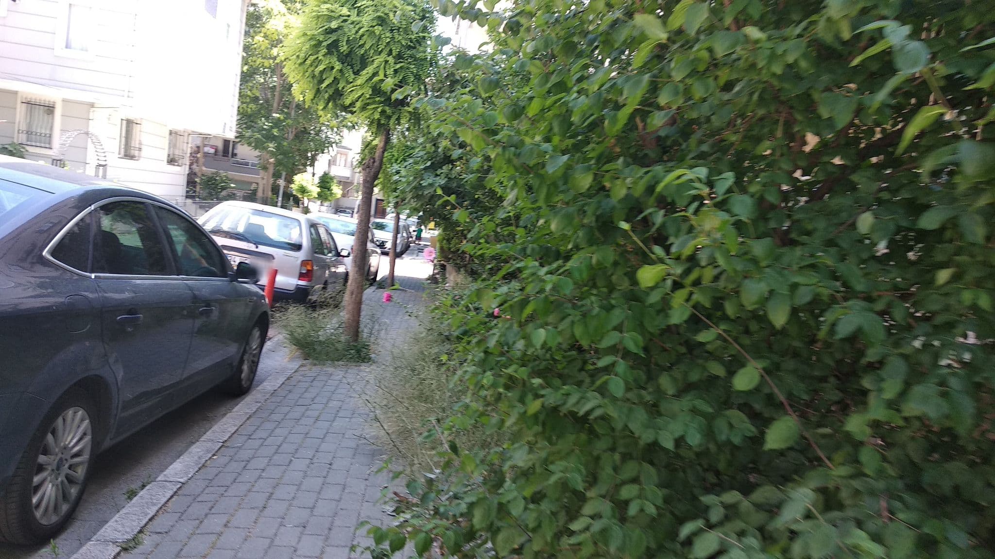 Street view near Rescate Hotel, Yakuplu — © boracasli (CC BY-SA · Mapillary)