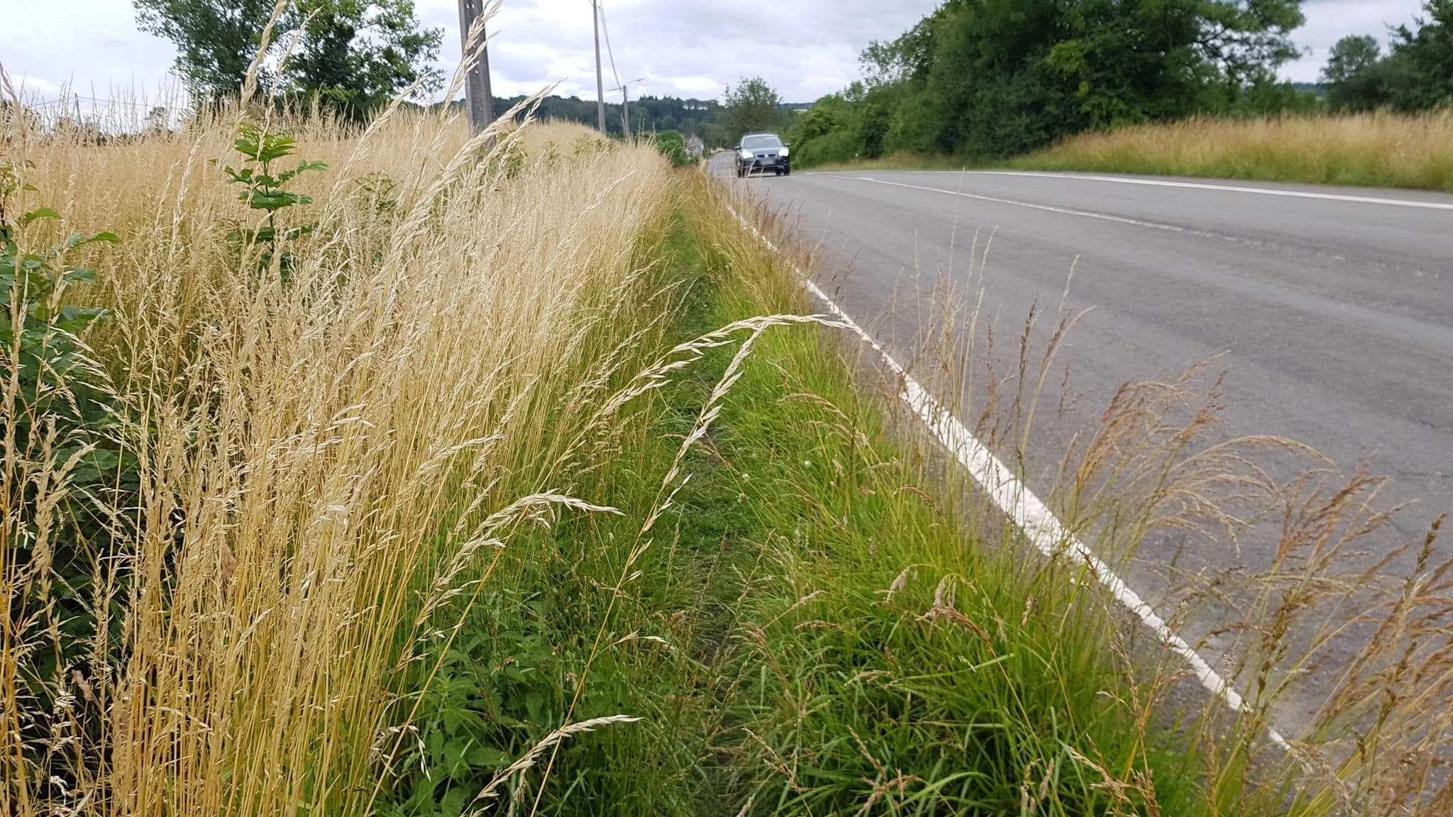 Street view near Plasschaert/Patrick, Anseremme — © multi_wandel (CC BY-SA · Mapillary)