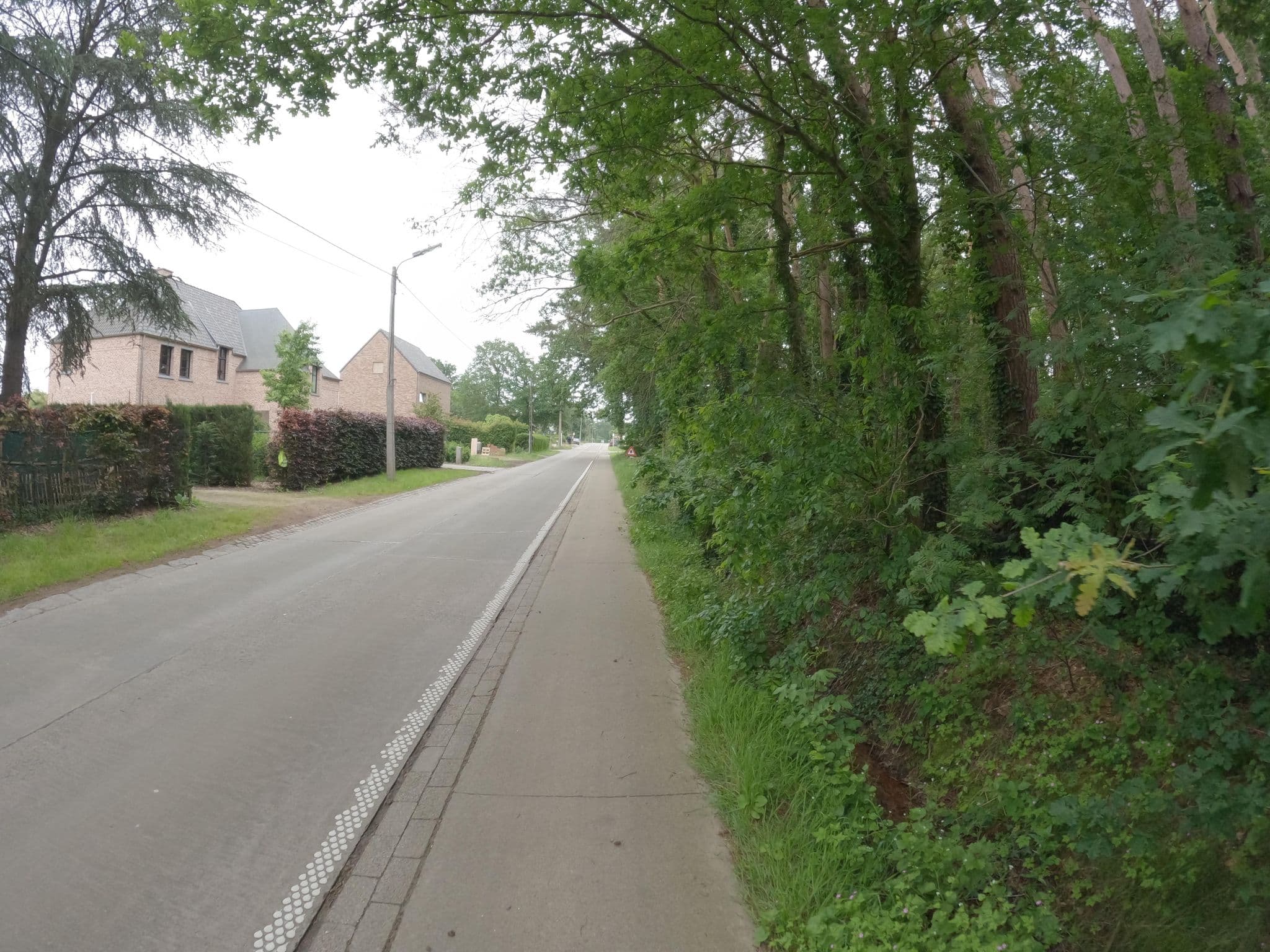 Street view near b&b demervallei, Rijmenam — © koninklijke (CC BY-SA · Mapillary)