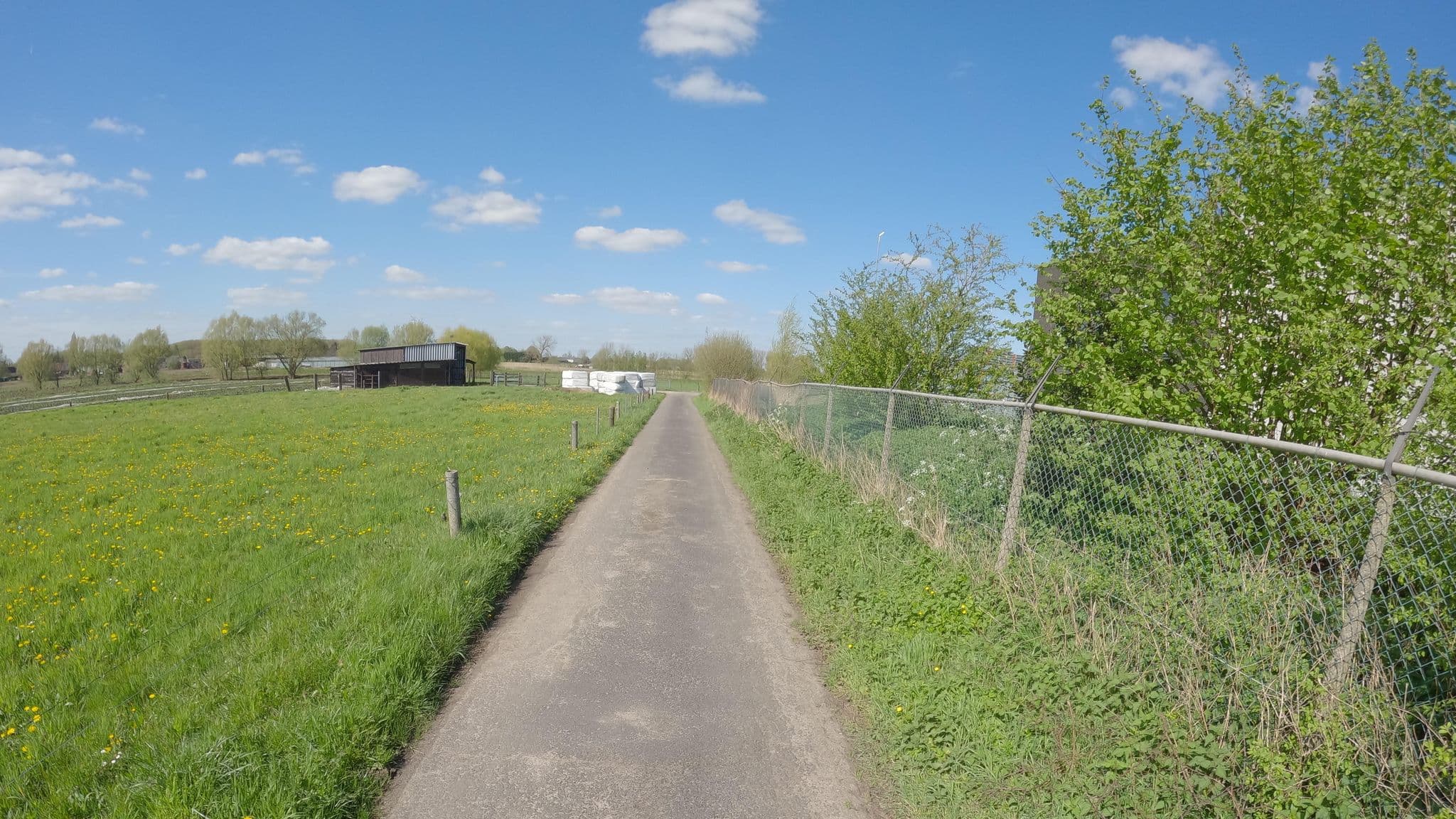 Street view near Carotel, Waarloos — © koninklijke (CC BY-SA · Mapillary)
