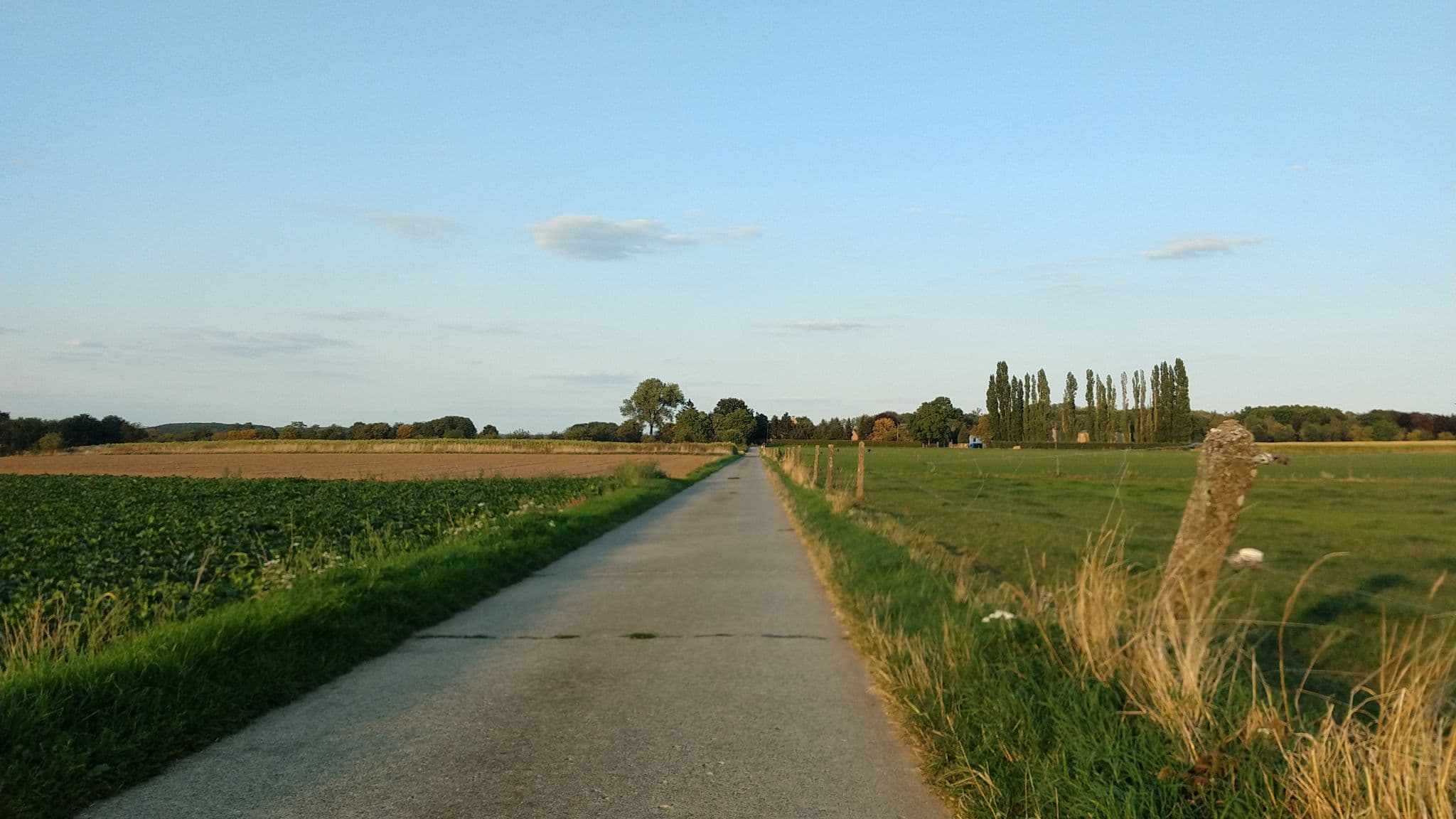Street view near Landlord, Pellenberg — © polyglot (CC BY-SA · Mapillary)