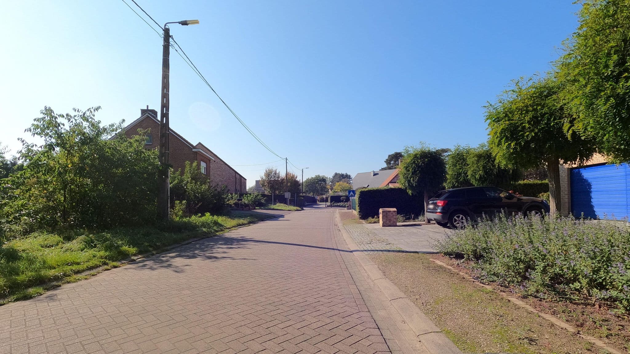 Street view near Tilia, Rotselaar — © koninklijke (CC BY-SA · Mapillary)