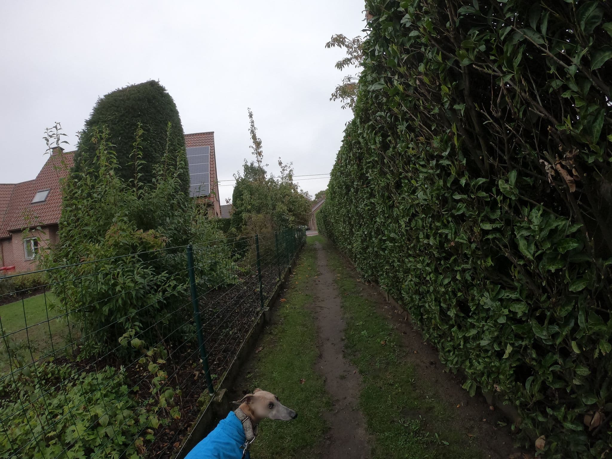 Street view near staels sleurhut, Rotselaar — © escada (CC BY-SA · Mapillary)